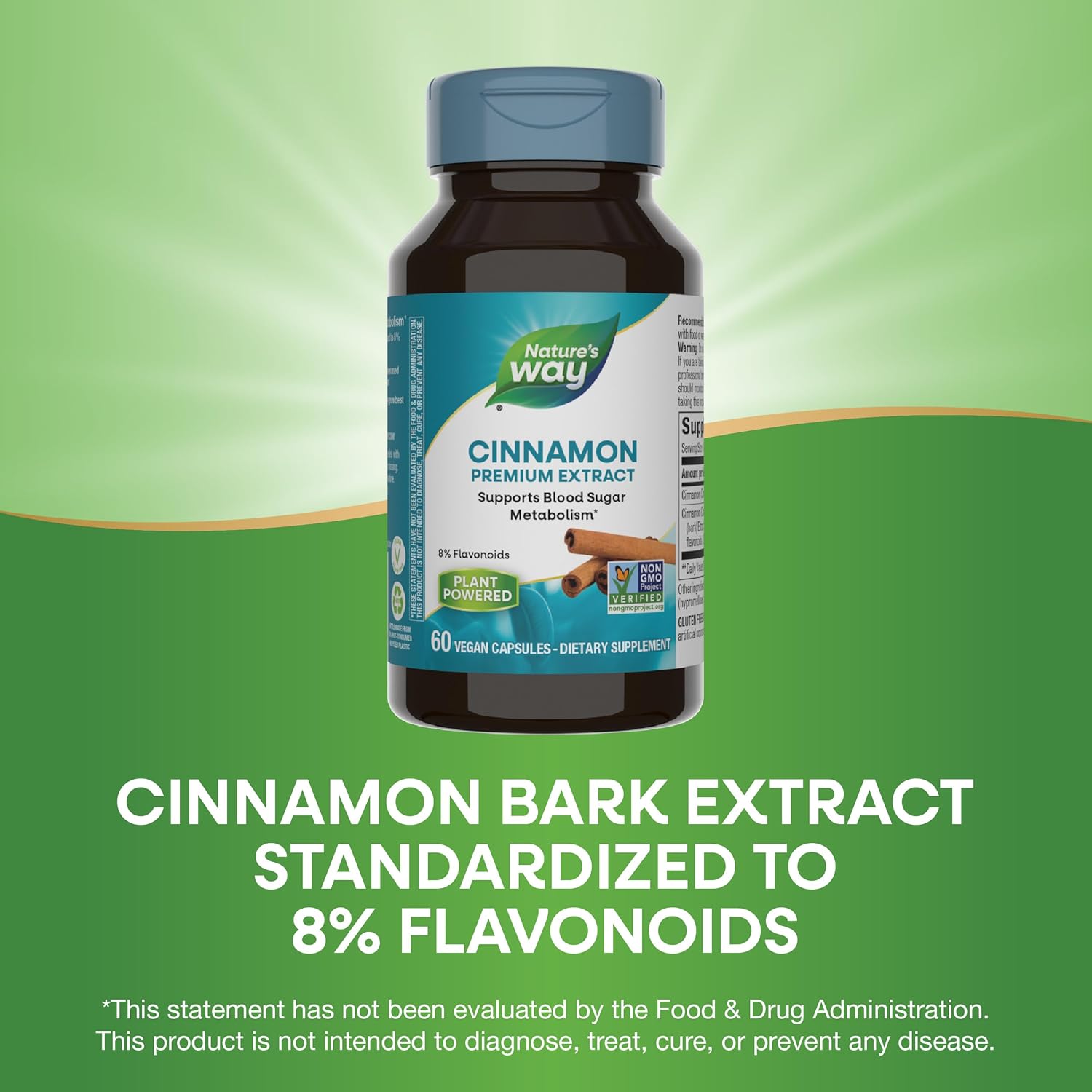 Nature's Way Premium Extract Cinnamon 8% Flavonoids Vcaps - 120 Count