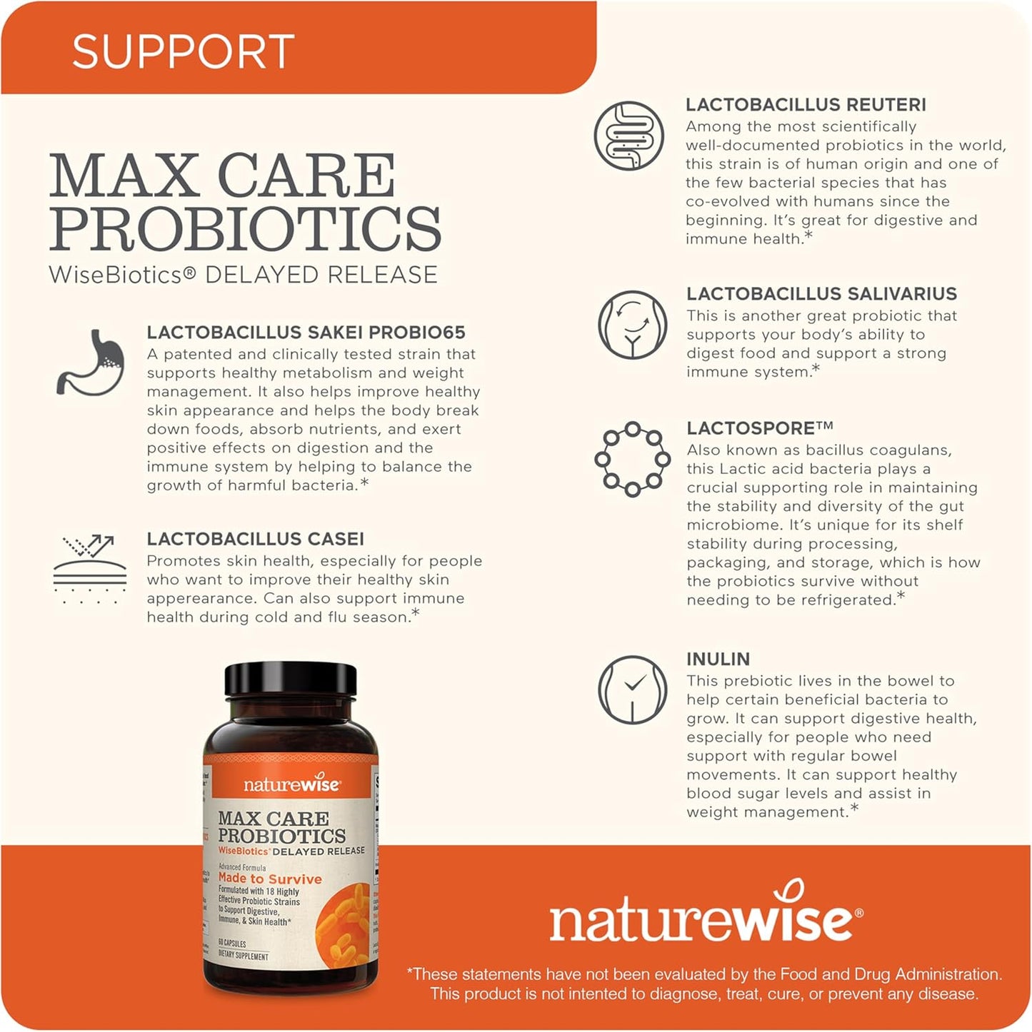 NatureWise Max Probiotics 30 Billion CFU with Prebiotics - Gut & Digestive Health Support - 60 Capsules