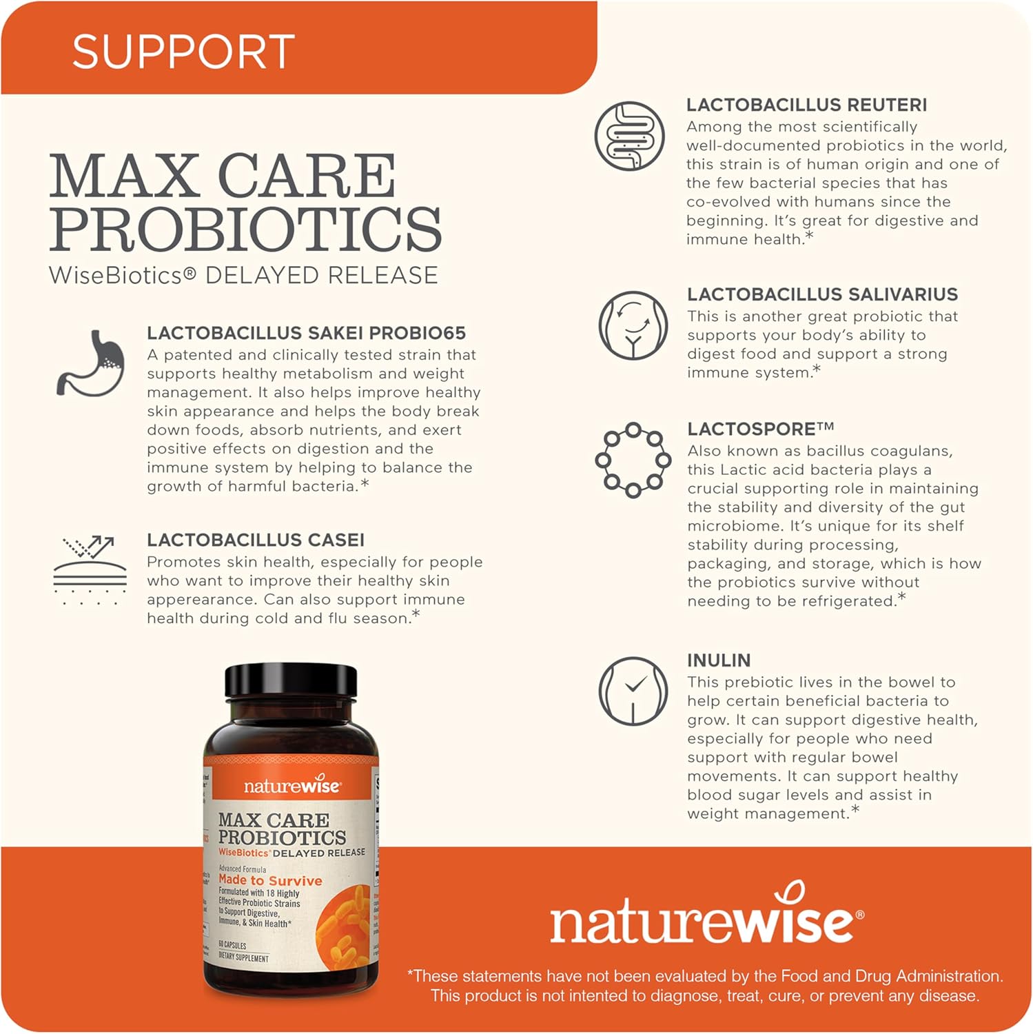 NatureWise Max Probiotics 30 Billion CFU with Prebiotics - Gut & Digestive Health Support - 60 Capsules