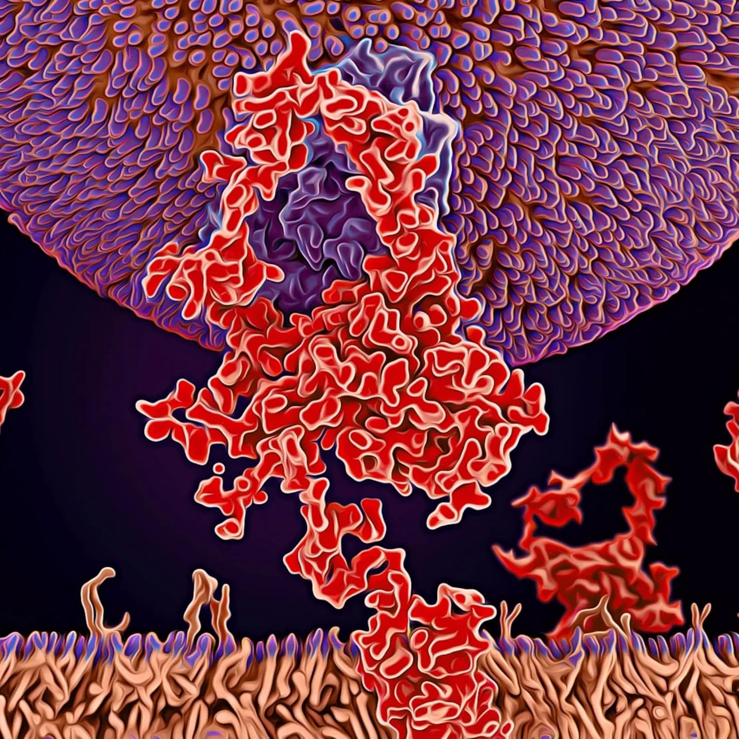 Naturopathic Cholesterol Metabolism Support Tablets - 90 Count - Enhances Circulation - Non-Statins & Red Yeast Rice - 15 Day Supply