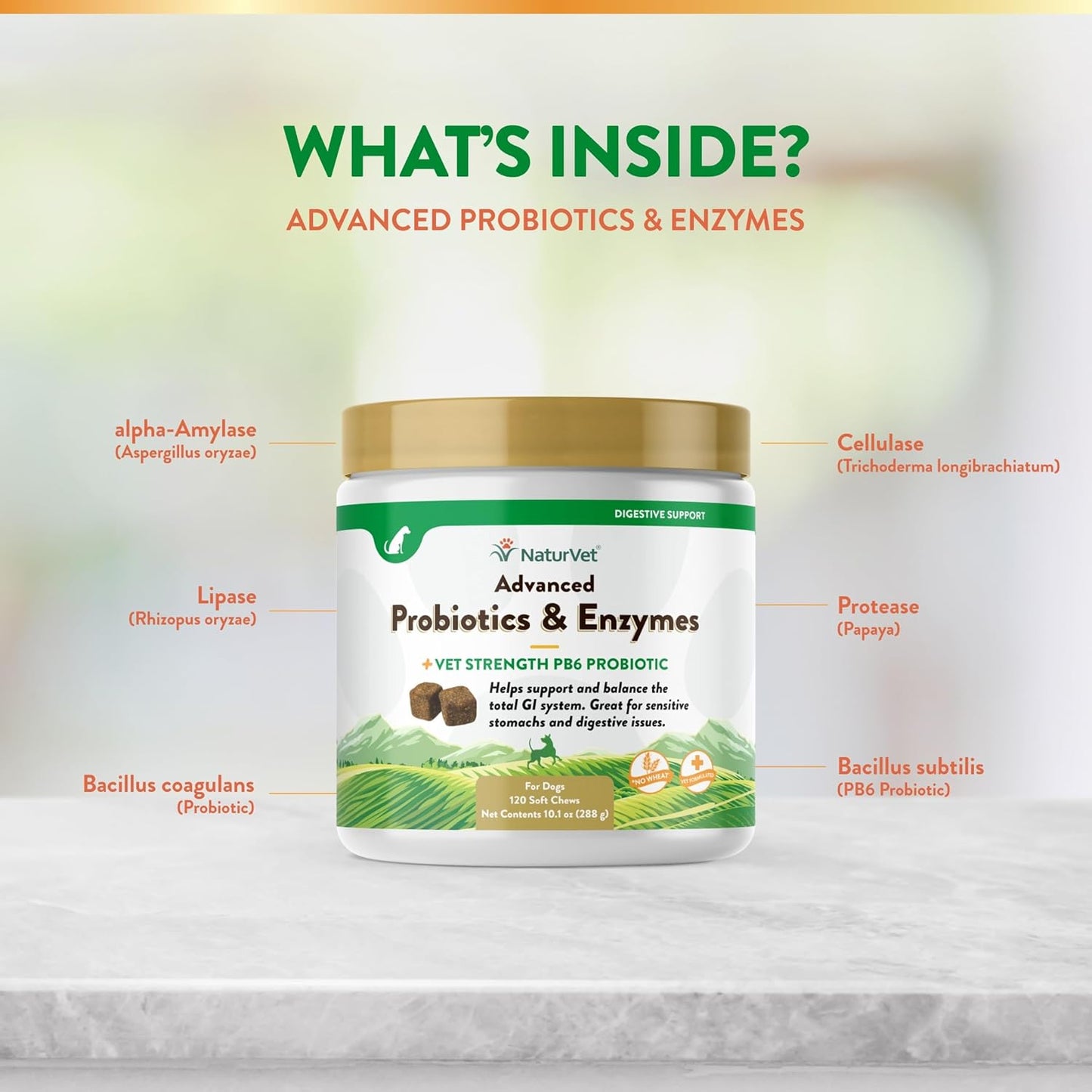 NaturVet Advanced Probiotic and Enzyme Supplement for Dogs, 120 Soft Chews for Digestive Health