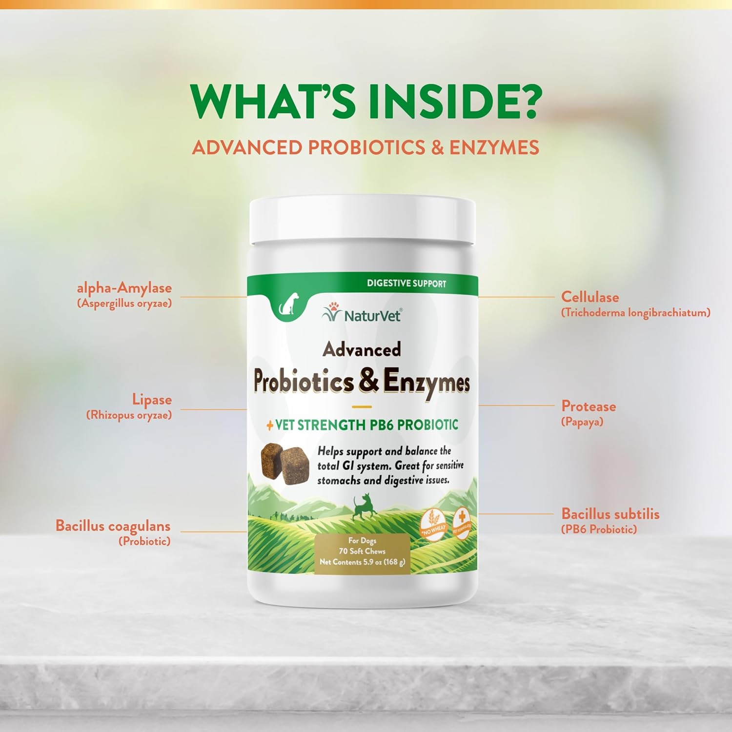 NaturVet Advanced Probiotic Soft Chews with Vet Strength PB6 - USA-Made with Global Ingredients - 70 Count