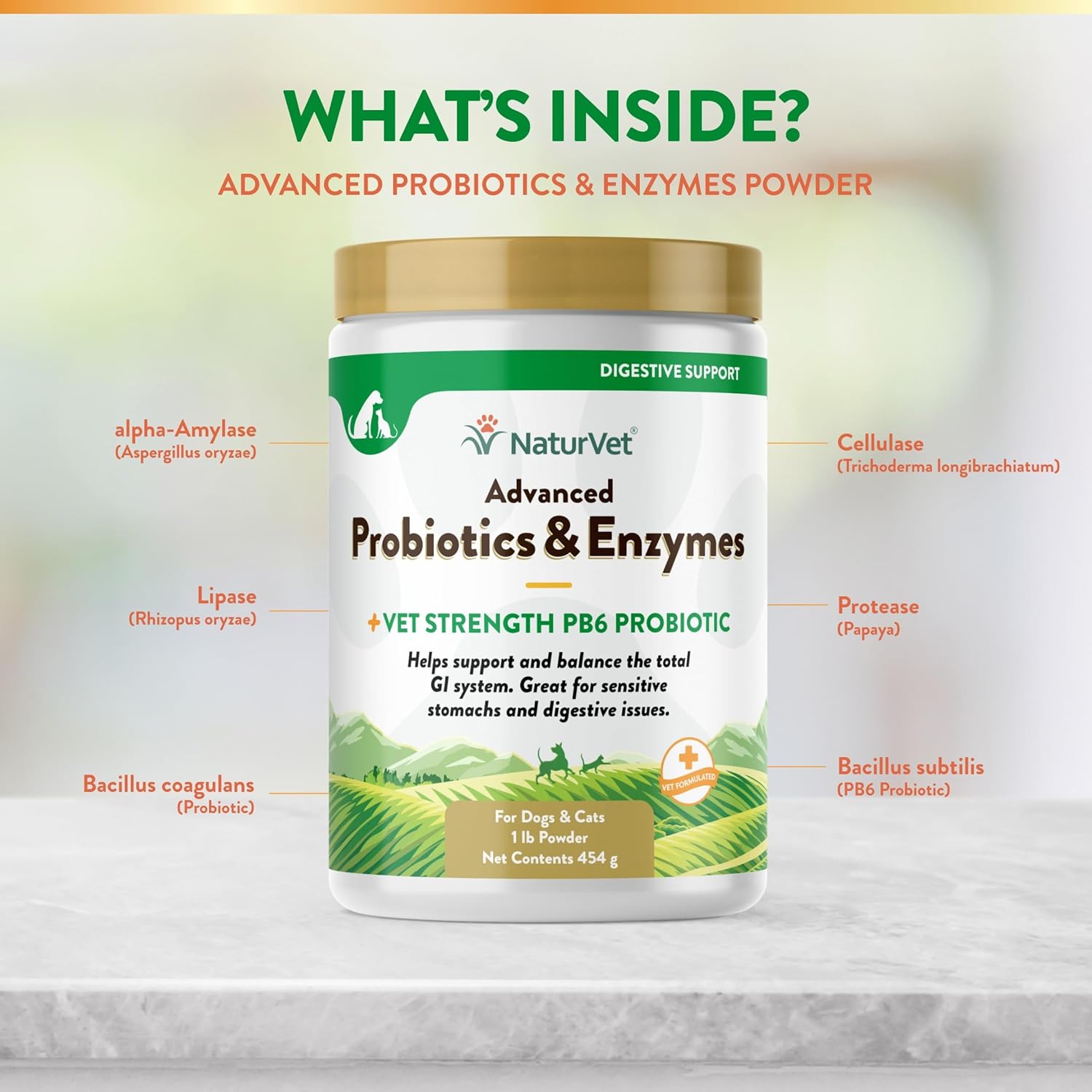 NaturVet Advanced Probiotics & Enzymes with Vet Strength PB6 Probiotic for Dogs & Cats - Supports Sensitive Stomachs & Digestive Health (1 lb)