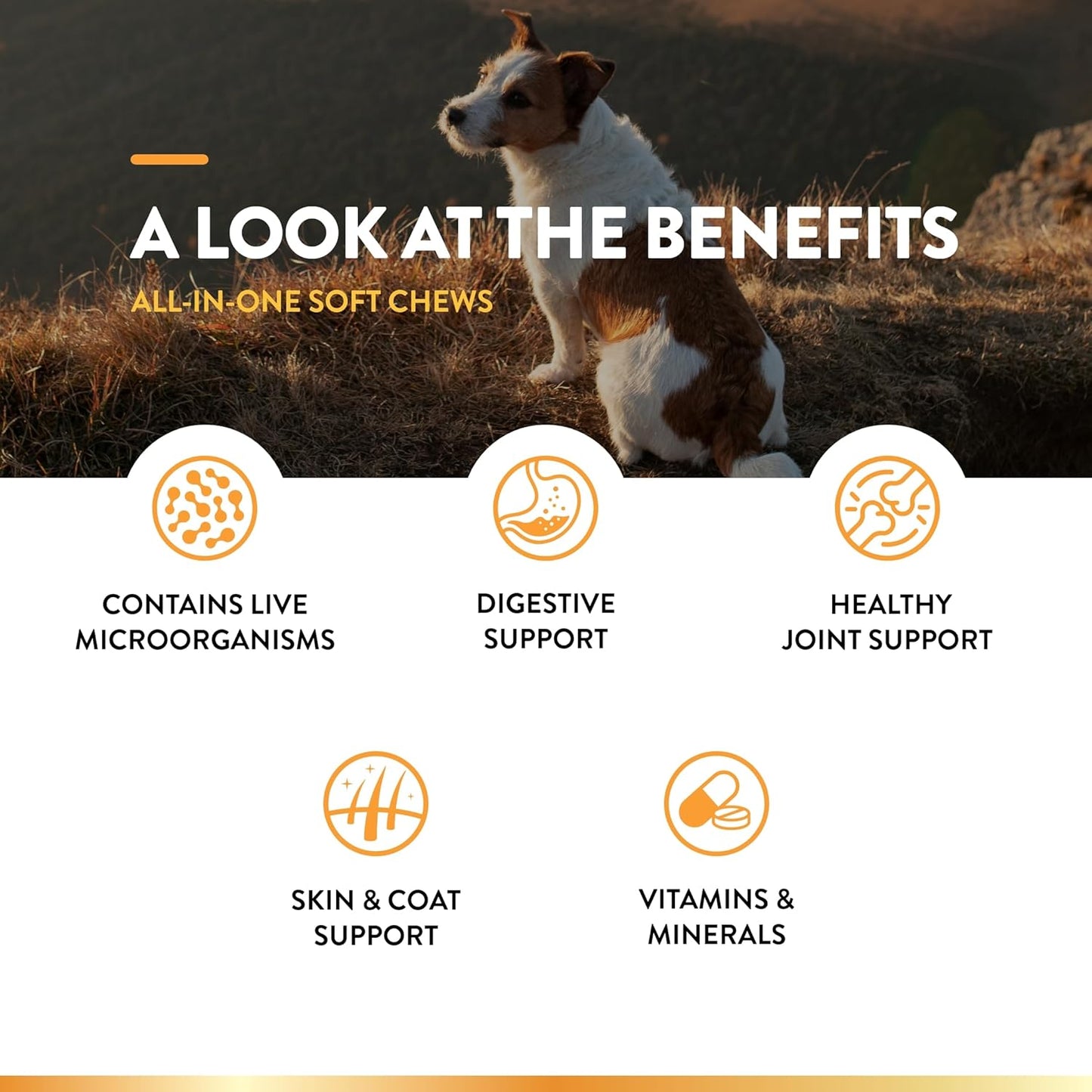 NaturVet All-in-One Dog Supplement for Joint Support, Digestion, Skin & Coat Care - 120 Soft Chews with Omega Fatty Acids & Minerals
