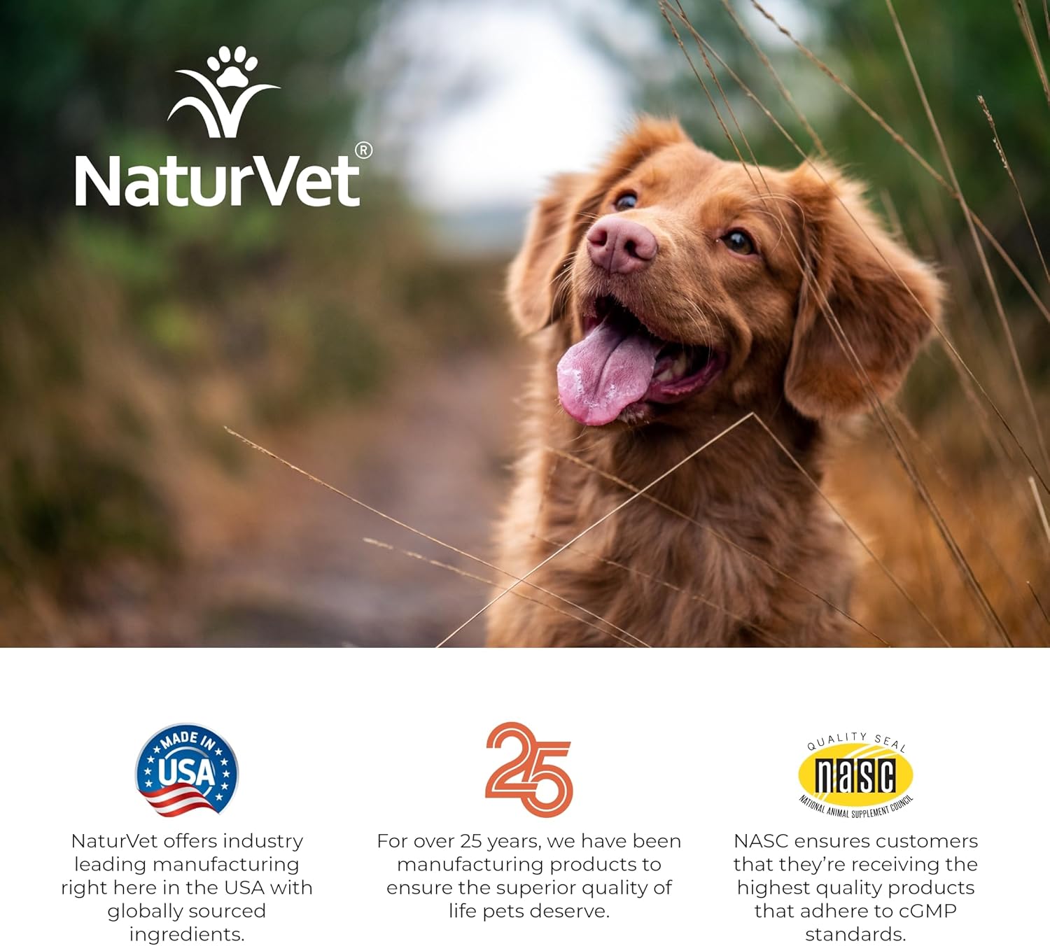 NaturVet All-in-One Dog Supplement for Joint Support, Digestion, Skin & Coat Care - 120 Soft Chews with Omega Fatty Acids & Minerals