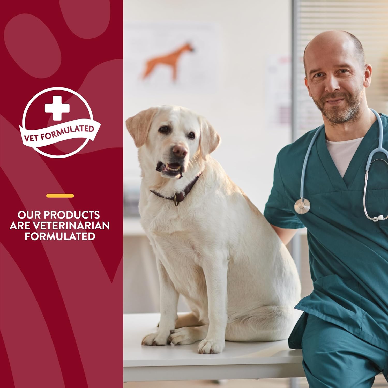 NaturVet Bladder Support with Cranberry for Dogs - Promotes Healthy Bladder & Urinary Function - 60 Chewable Tablets