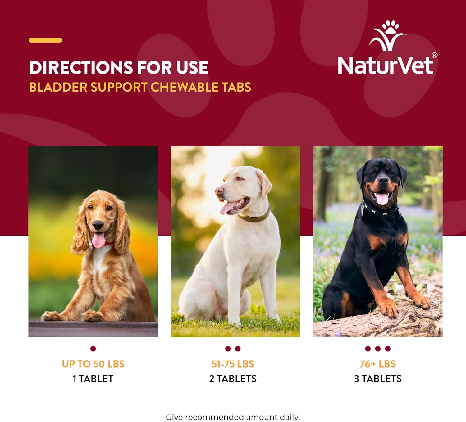 NaturVet Bladder Support with Cranberry for Dogs - Promotes Healthy Bladder & Urinary Function - 60 Chewable Tablets
