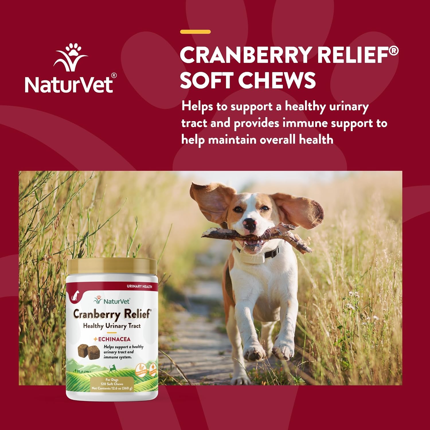 NaturVet Cranberry Relief Plus Echinacea Soft Chews - Promotes Urinary Tract & Immune Health - 120 Count