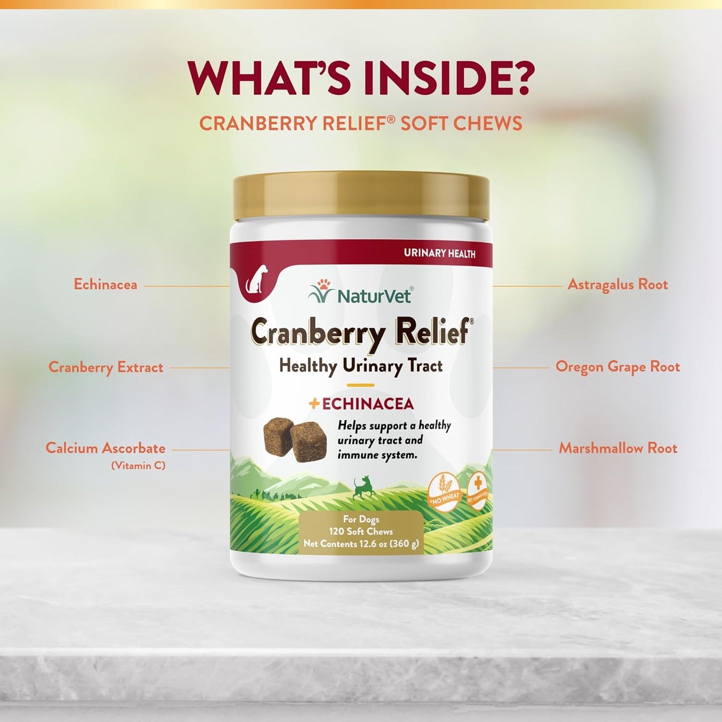 NaturVet Cranberry Relief Plus Echinacea Soft Chews - Promotes Urinary Tract & Immune Health - 120 Count