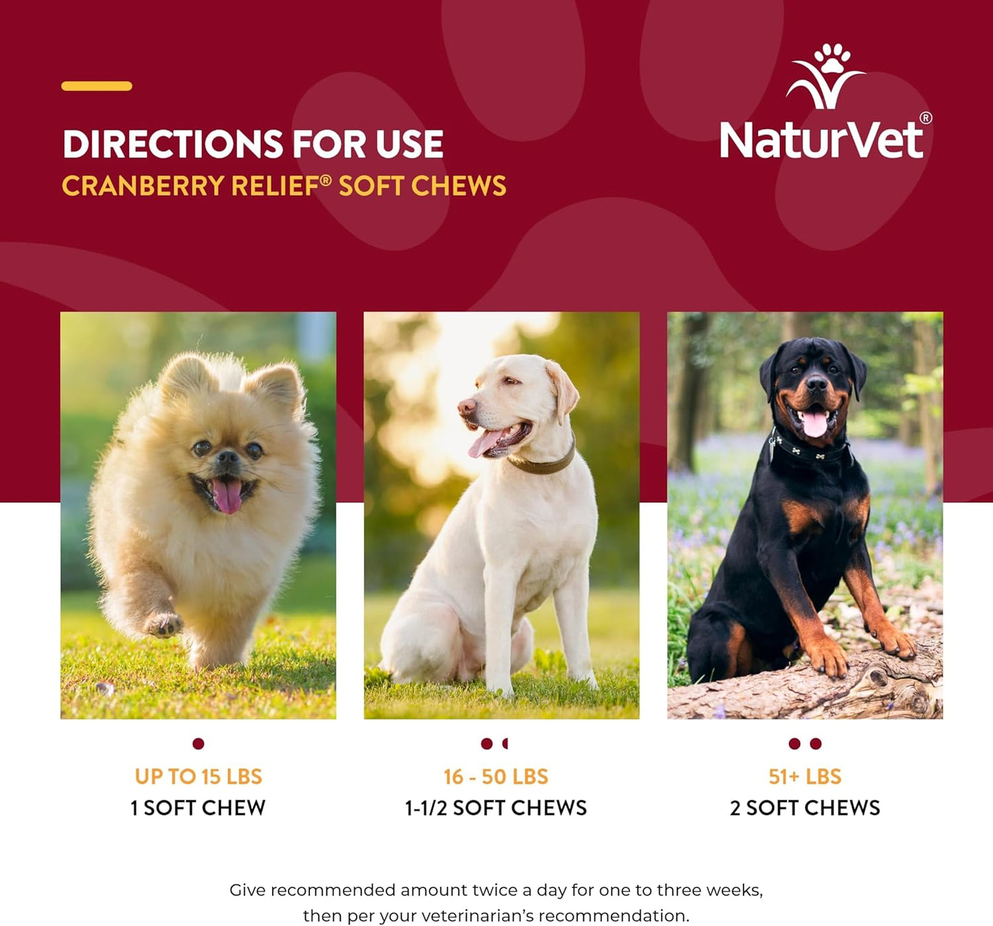 NaturVet Cranberry Relief Plus Echinacea Soft Chews - Promotes Urinary Tract & Immune Health - 120 Count