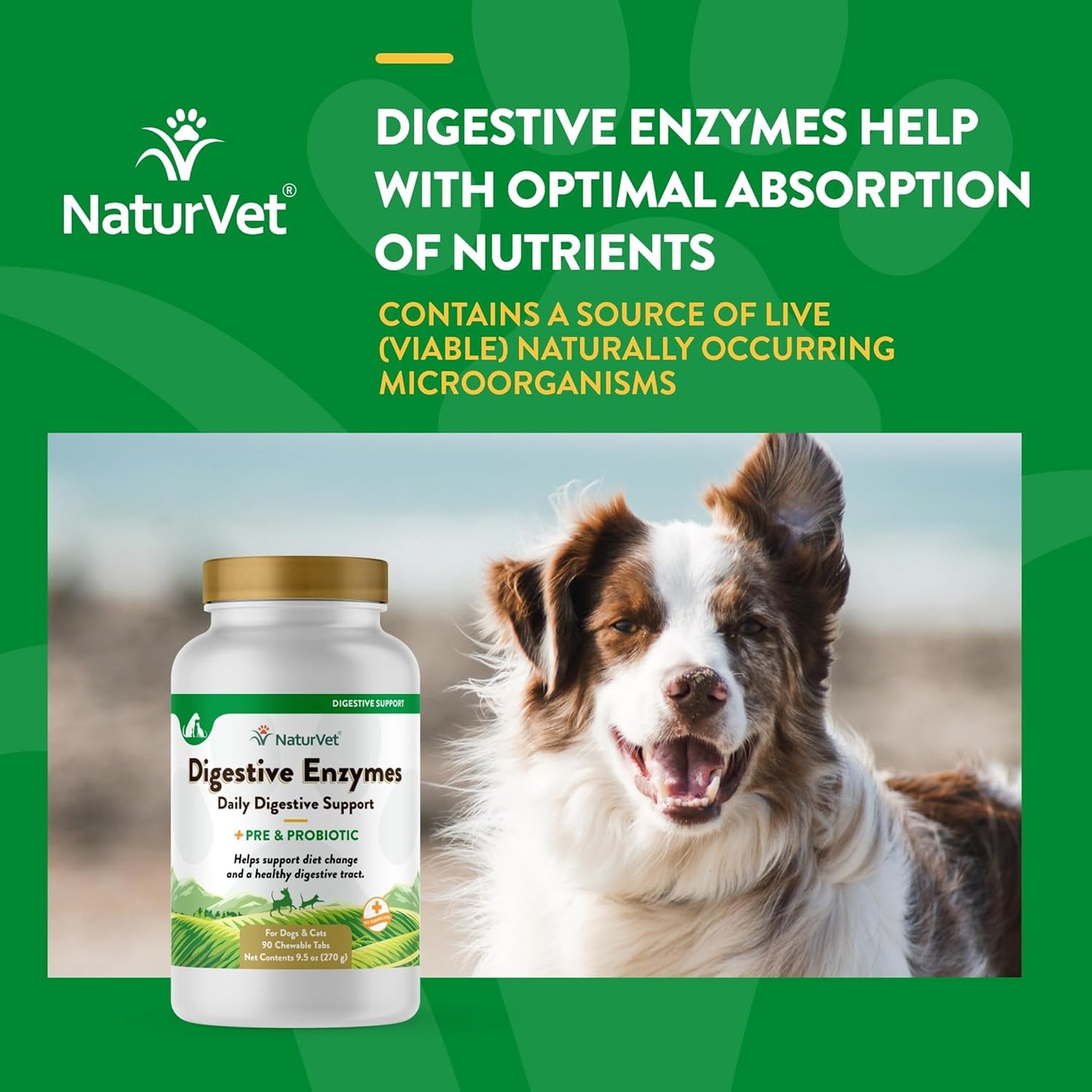 NaturVet Digestive Enzymes and Probiotics Soft Chews for Dogs - 90 Count - USA Made with Global Ingredients