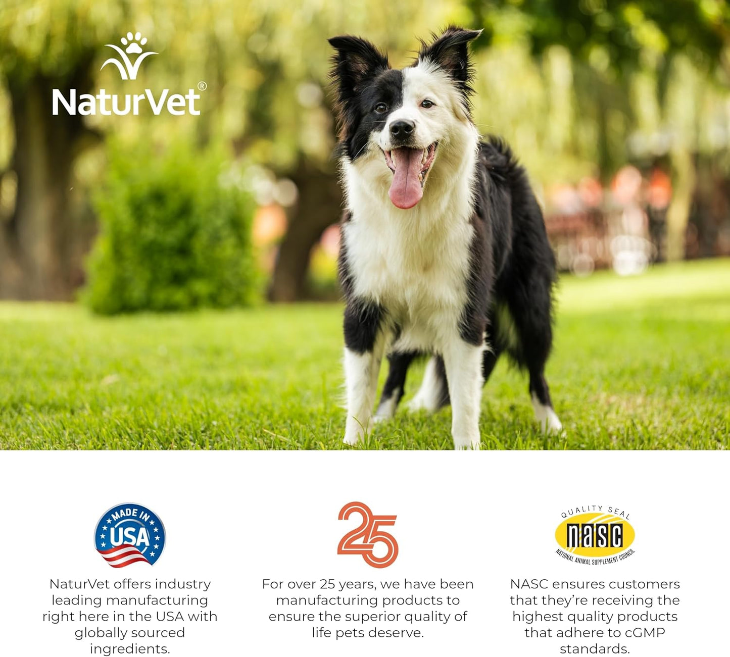 NaturVet Digestive Enzymes and Probiotics Soft Chews for Dogs - 90 Count - USA Made with Global Ingredients