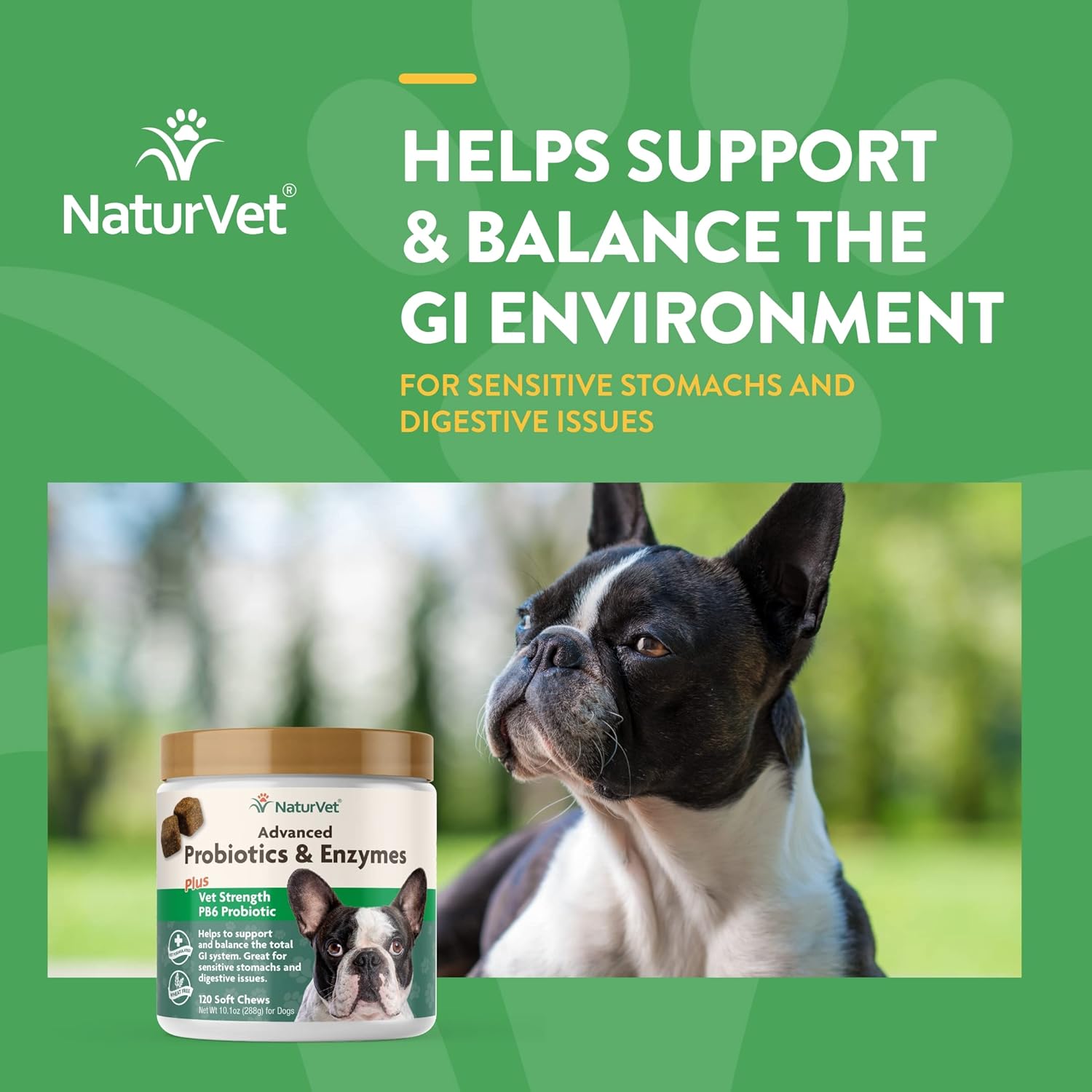 NaturVet Probiotic & Enzyme Supplement for Dogs - 120 Soft Chews - Supports Digestive Health & Anal Gland Function