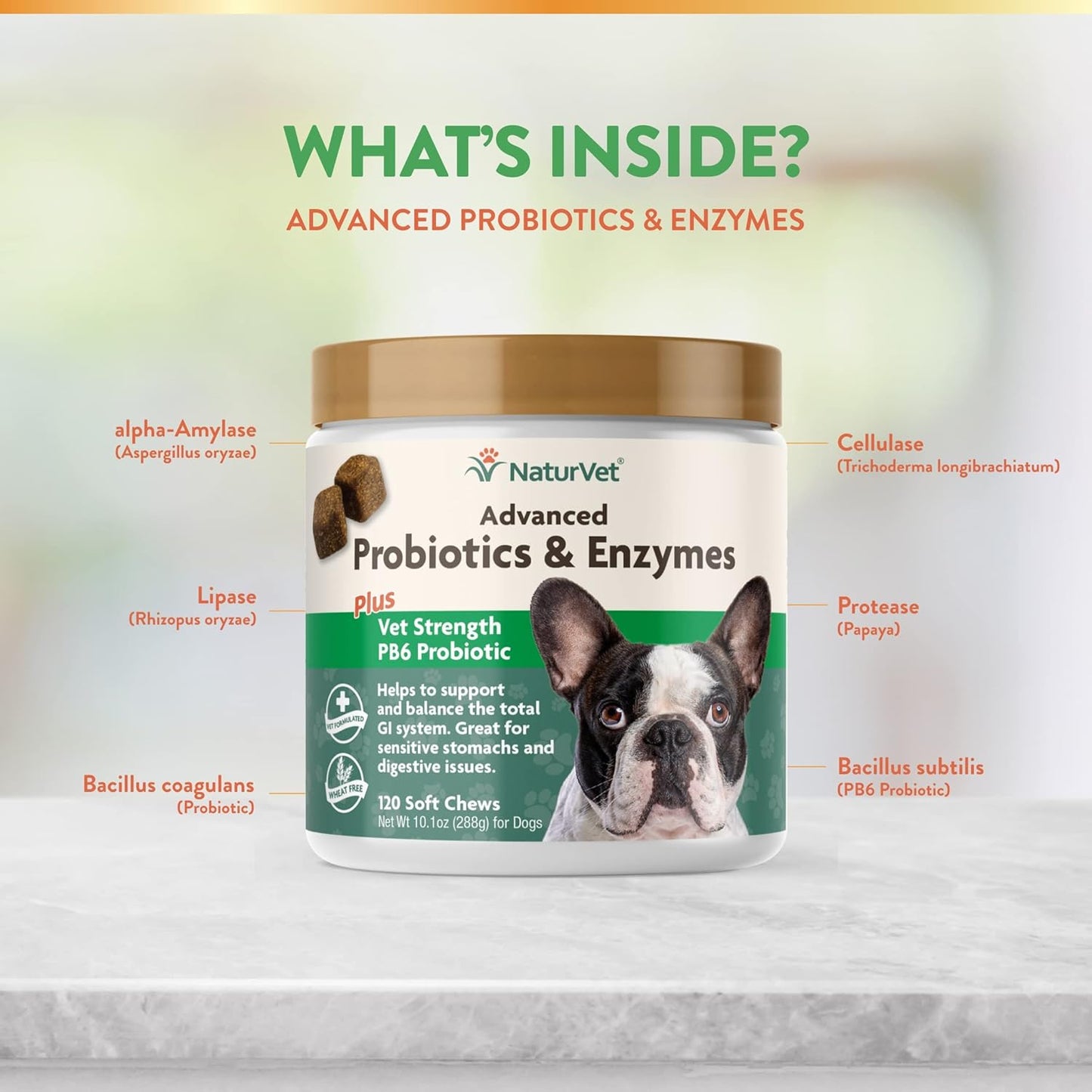 NaturVet Probiotic & Enzyme Supplement for Dogs - 120 Soft Chews - Supports Digestive Health & Anal Gland Function