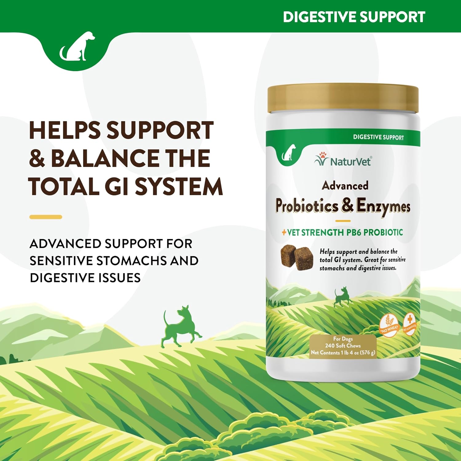 NaturVet Probiotics & Enzymes for Pets with Sensitive Stomachs - Vet Strength PB6 Probiotic - 240 ct