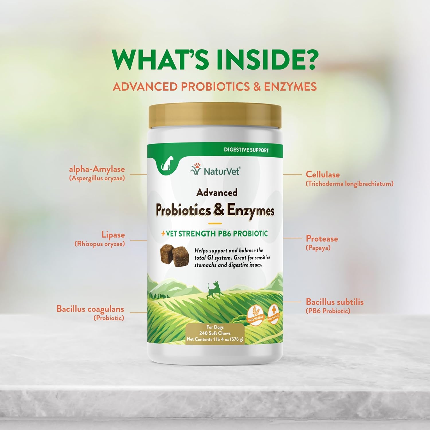 NaturVet Probiotics & Enzymes for Pets with Sensitive Stomachs - Vet Strength PB6 Probiotic - 240 ct