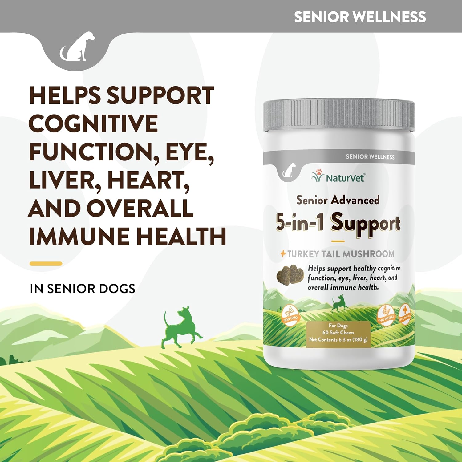 NaturVet Senior Dog Supplement with 5-in-1 Support for Immune System, Heart, Liver, Cognitive Function, and Eye Health - Includes Ginkgo Biloba and Lutein - 60 Ct.
