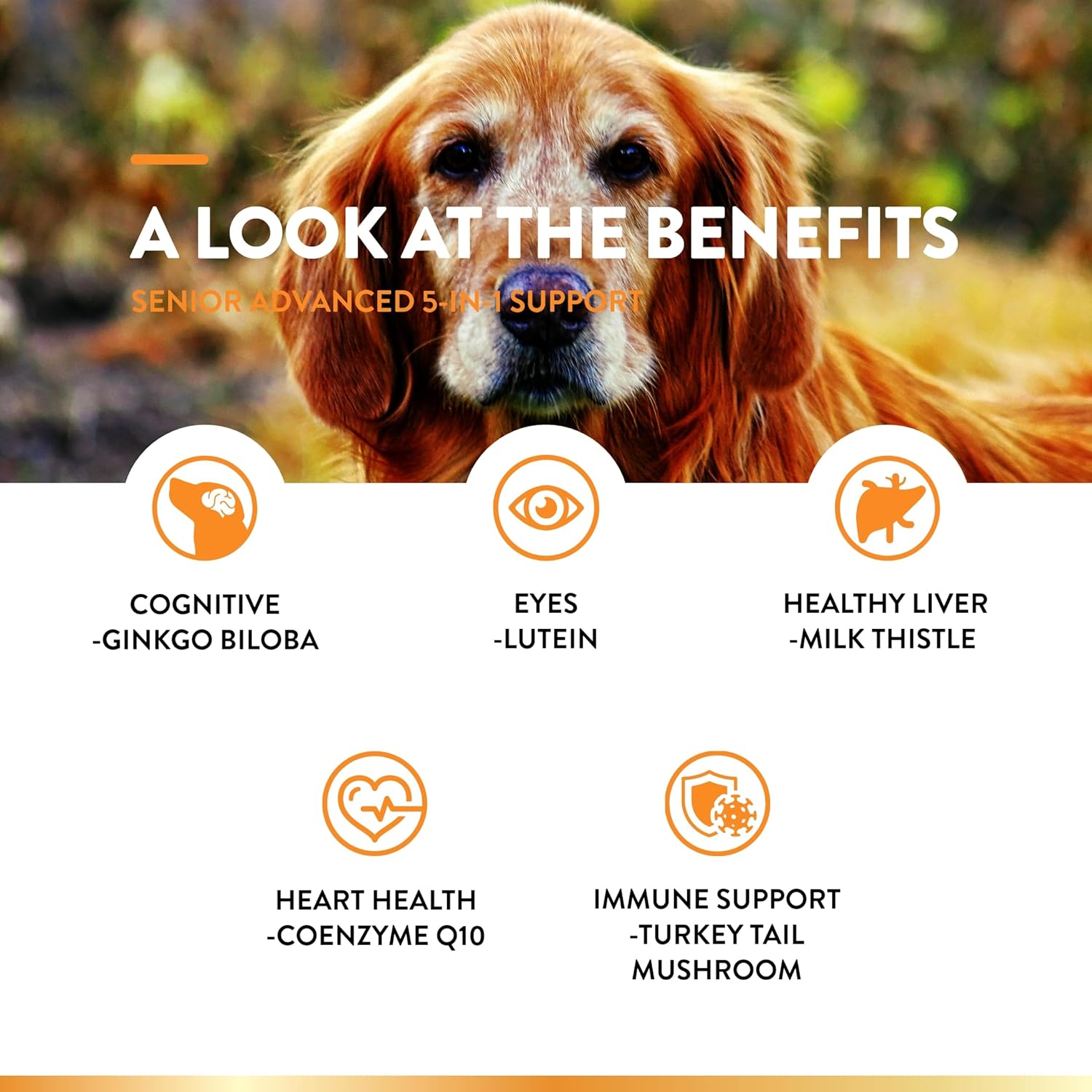 NaturVet Senior Dog Supplement with 5-in-1 Support for Immune System, Heart, Liver, Cognitive Function, and Eye Health - Includes Ginkgo Biloba and Lutein - 60 Ct.
