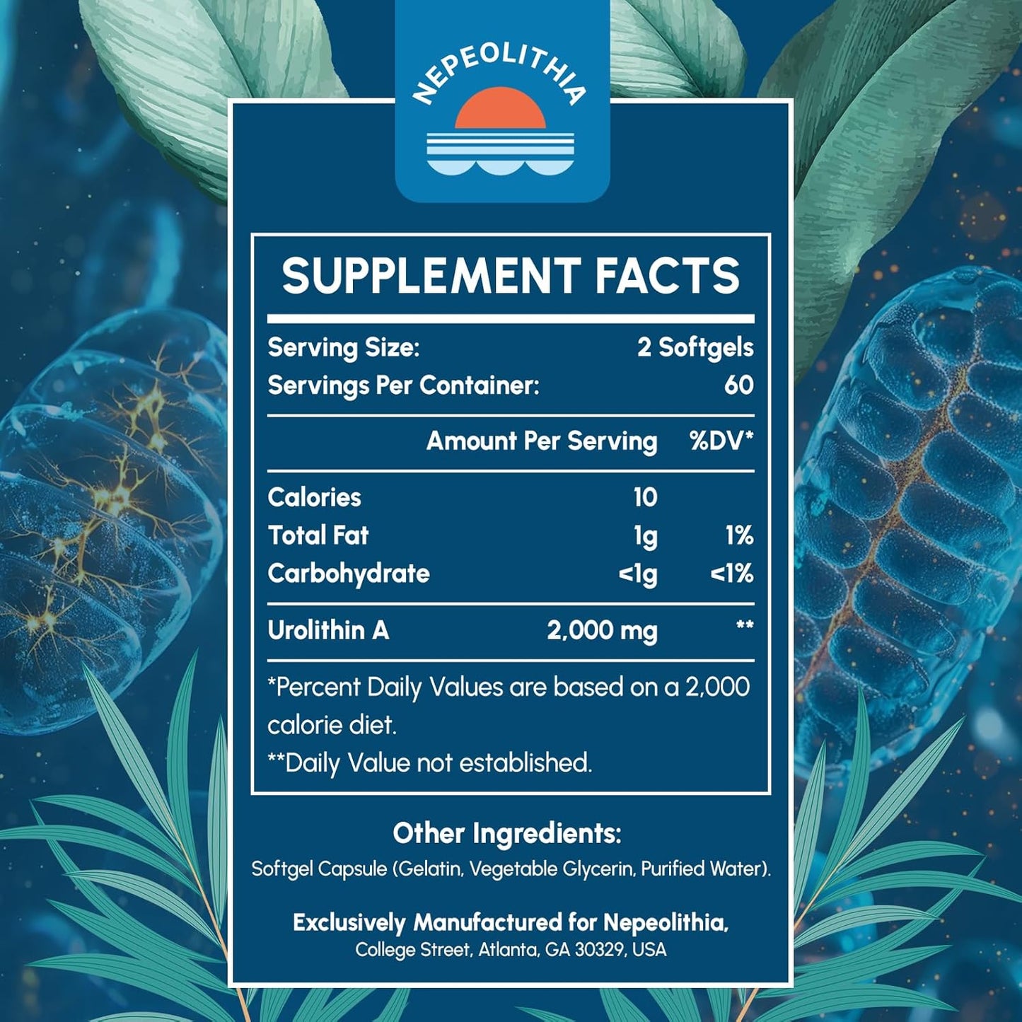 Nepeolithia Urolithin A Softgels - 2000mg, Gluten Free, 2 Months Supply