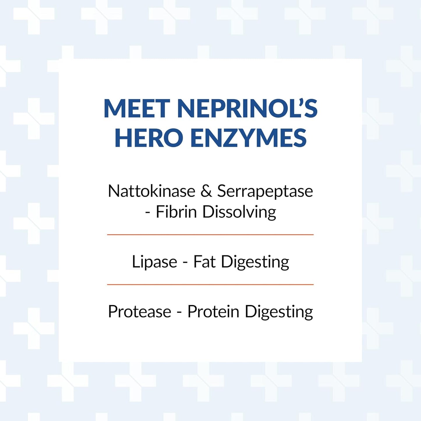 Neprinol AFD by Arthur Andrew Medical - 300 Count Multi Enzyme Blend with Serrapeptase & Nattokinase