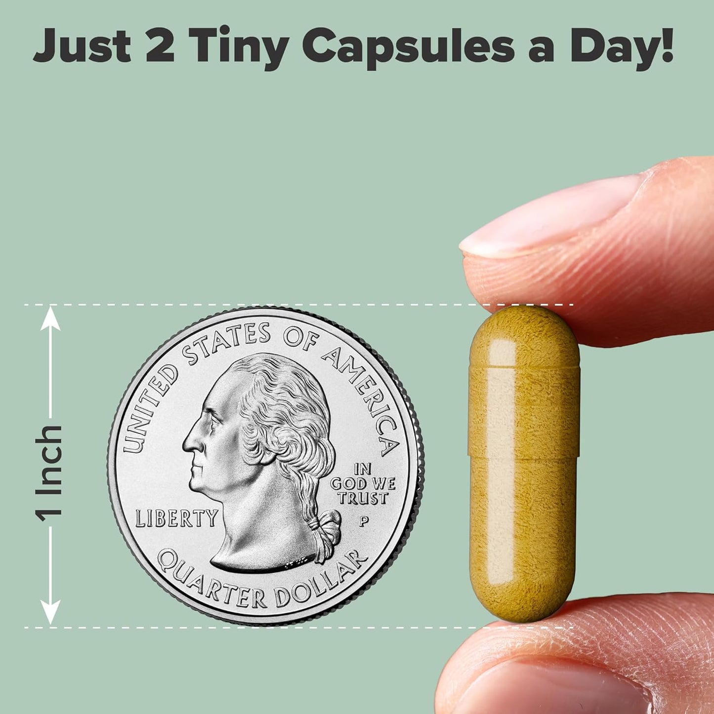 Nerve Prime Supplement with R-Alpha Lipoic Acid, Lion’s Mane Mushroom, Curcumin - Well-Being & Cognitive Function Boost, Antioxidant Protection - 30-Day Supply