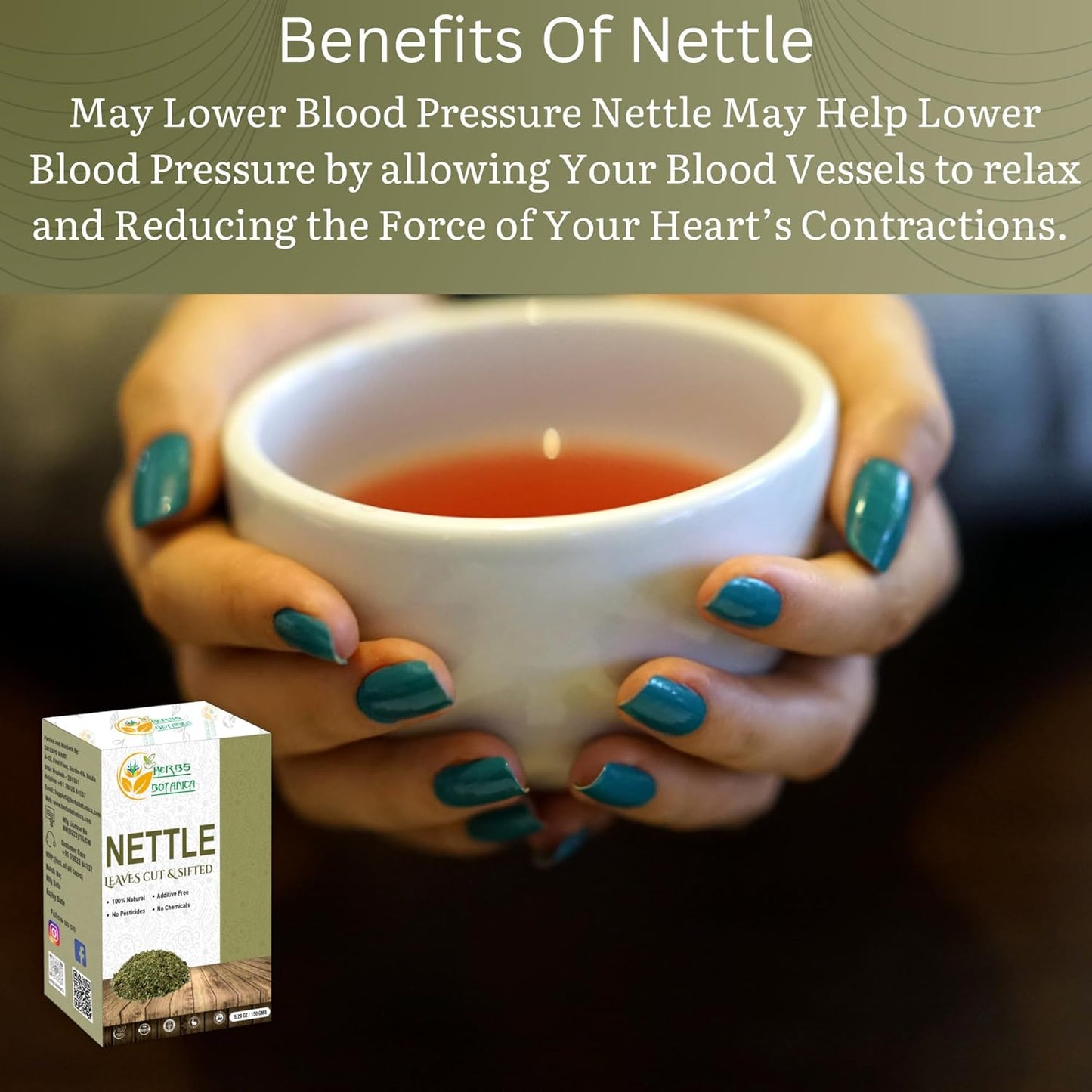 Nettle Leaf Cut and Sifted Herbal Tea and Smoothie Ingredient - Vegan Non GMO Supplement - 5.29 oz