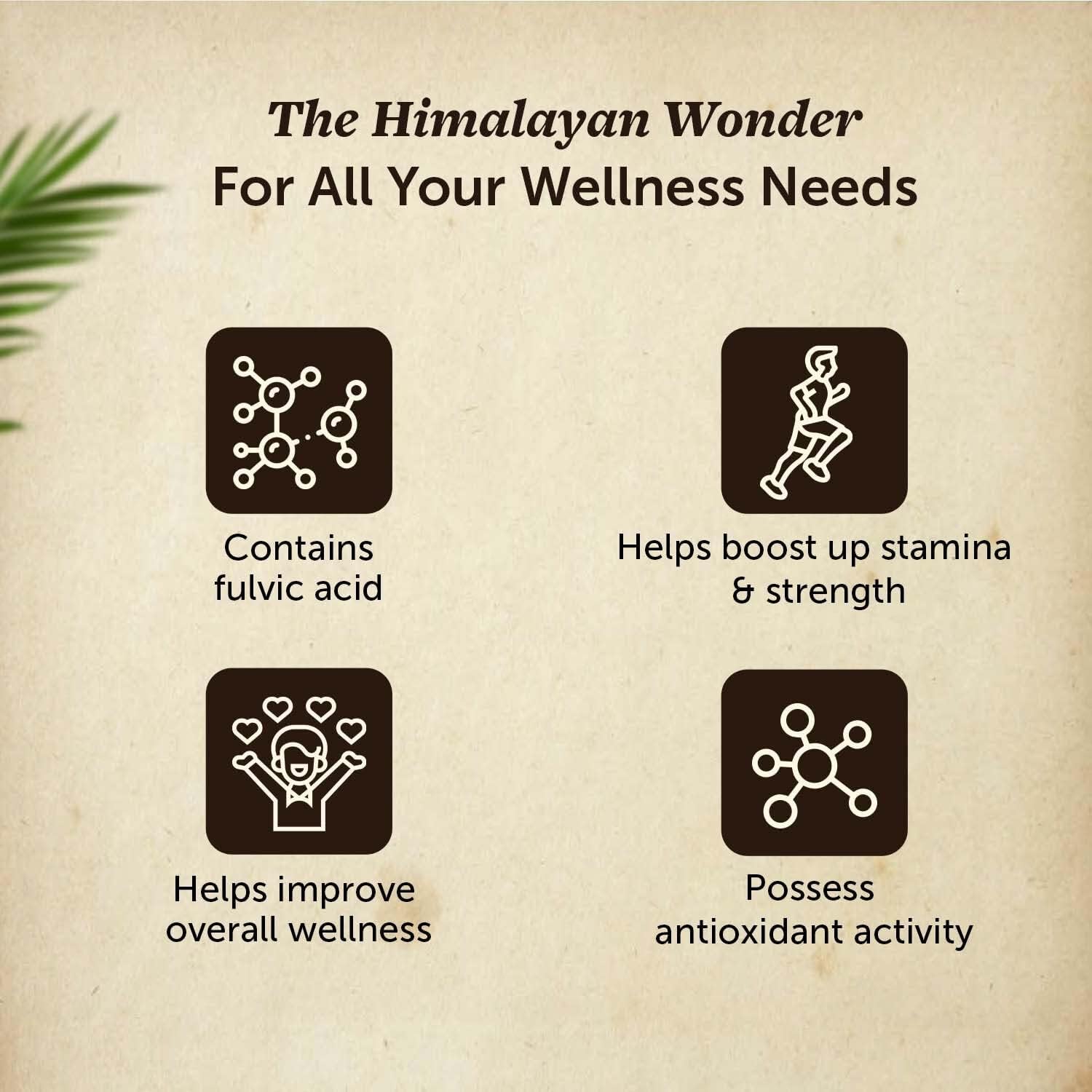 Neuherbs 100% Ayurvedic Himalayan Shilajit Resin 20G with 75% Fulvic Acid | Energy Boost & Immune Support | Lab Tested for Men & Women