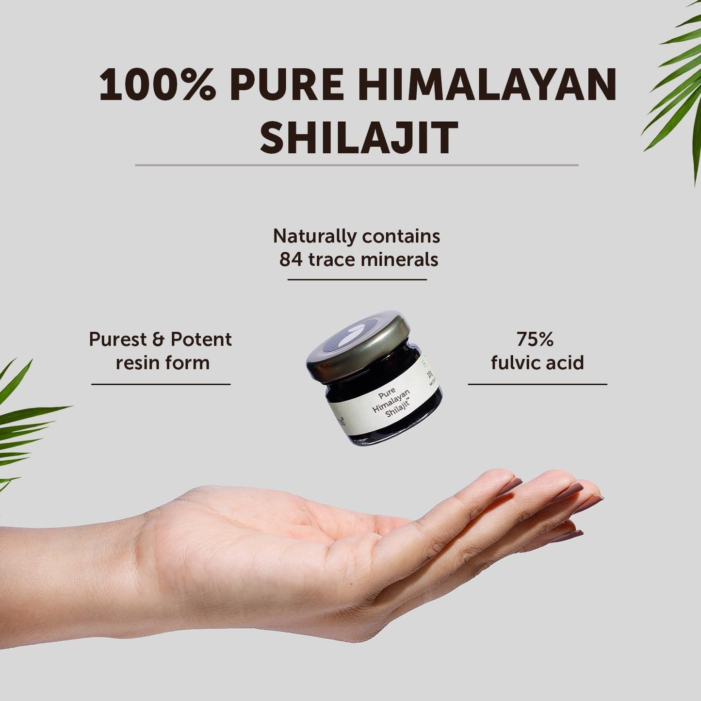 Neuherbs 100% Ayurvedic Himalayan Shilajit Resin 20G with 75% Fulvic Acid | Energy Boost & Immune Support | Lab Tested for Men & Women