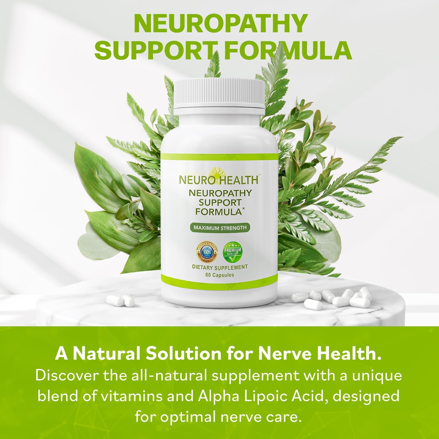 Neuro Health Nerve Support Formula with B Vitamins and Alpha Lipoic Acid - Rapid Absorption Neuropathy Relief - 180 Capsules