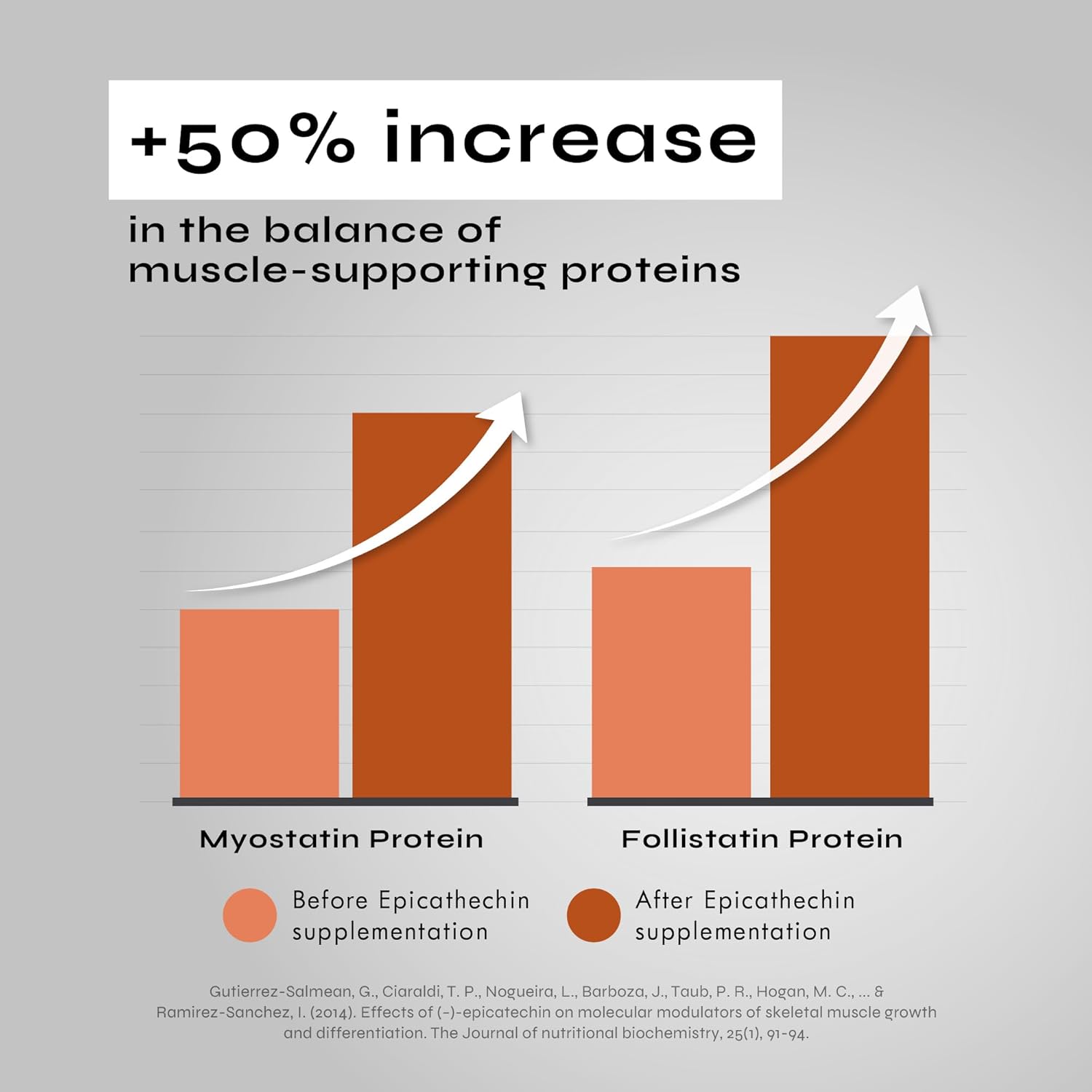 Neurogan Epicatechin Capsules 500mg - Nitric Oxide & Muscle Development Support - Athletes Performance Edge - 60ct, Made in USA