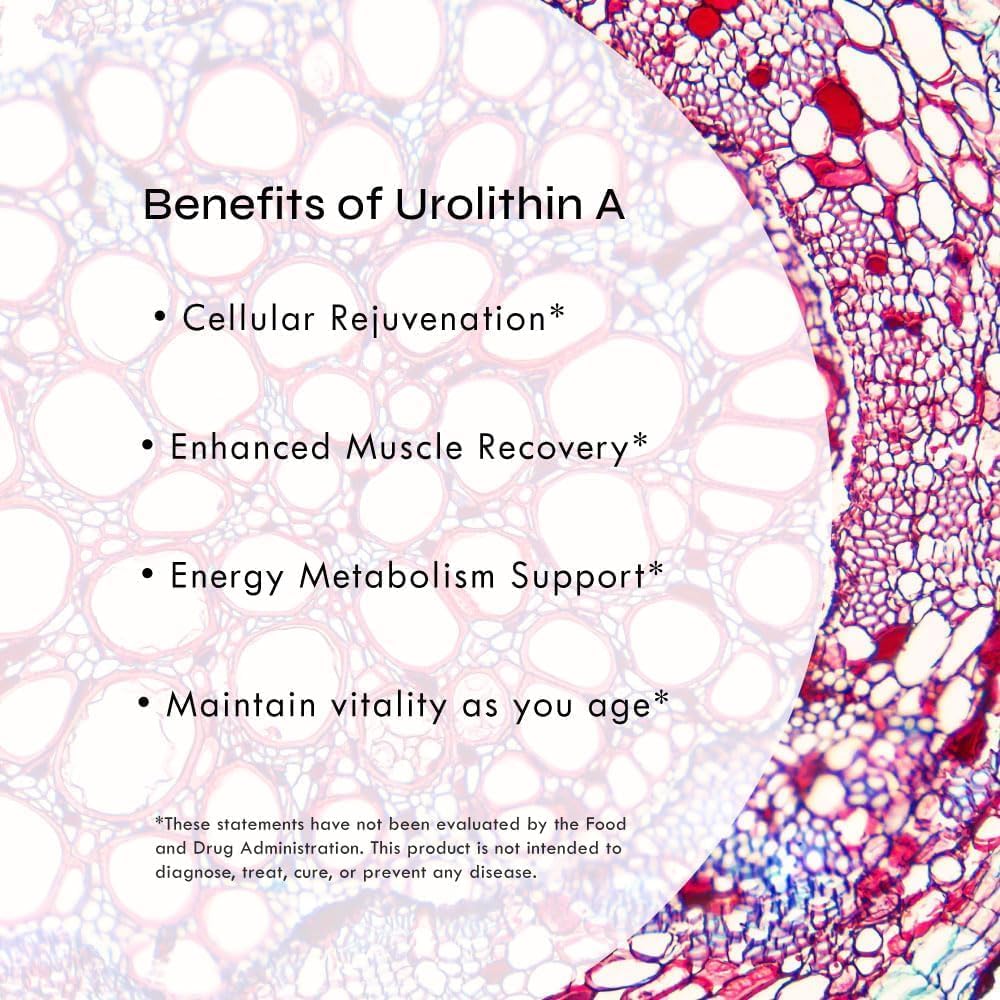 Neurogan Urolithin A Pro Capsules - 1000mg, 120 Count - Enhanced Strength for Cellular Health & Vitality - Ultra Micronized Formula - Lab Verified, USA Made