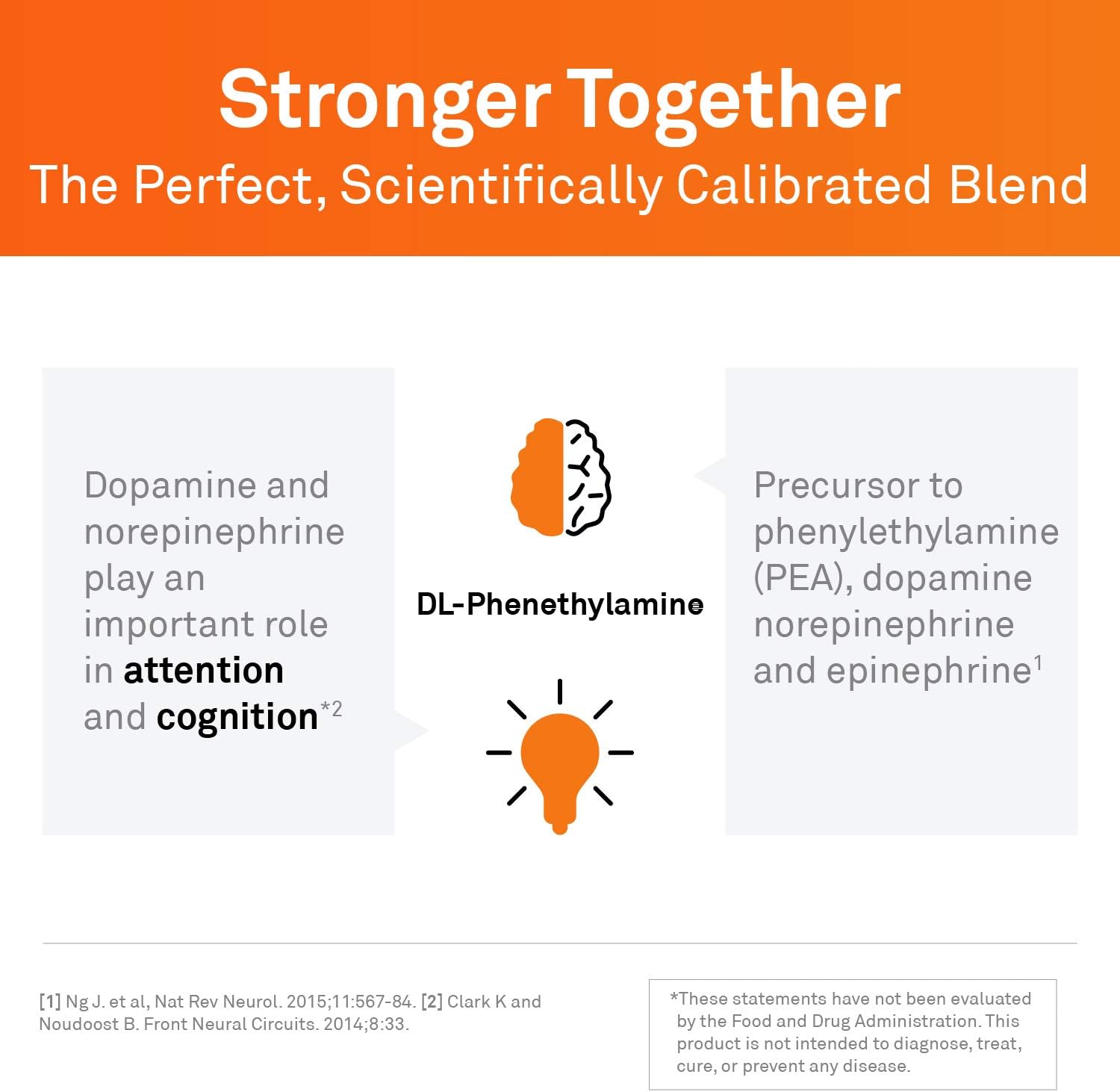 NeuroScience Focus DL Brain Supplements - Memory & Focus Support - 500mg Amino Acid - Attention & Productivity - 60 Capsules