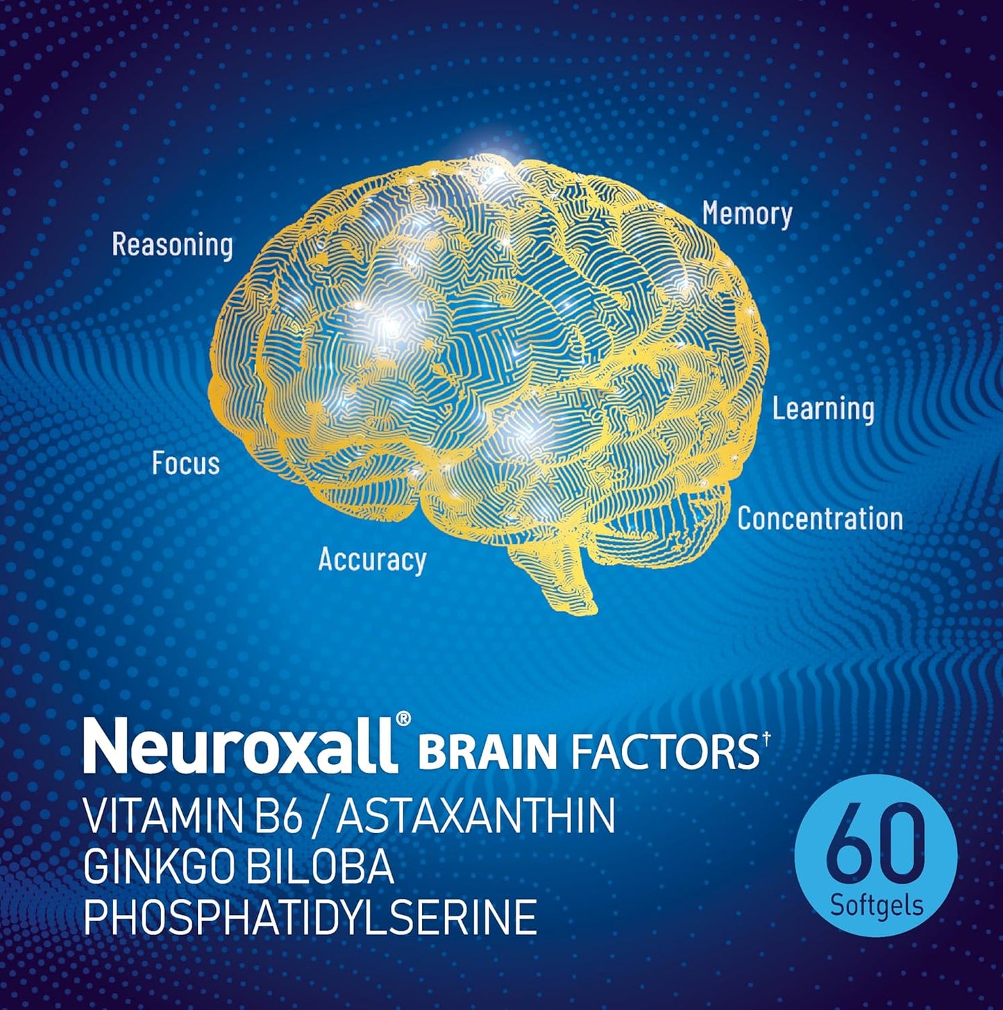 Neuroxall Brain Factors Softgels - Cognitive Support with Vitamin B6, Astaxanthin, Ginkgo Biloba Extract & Phosphatidylserine for Brain Health, Memory & Focus - 60 Count