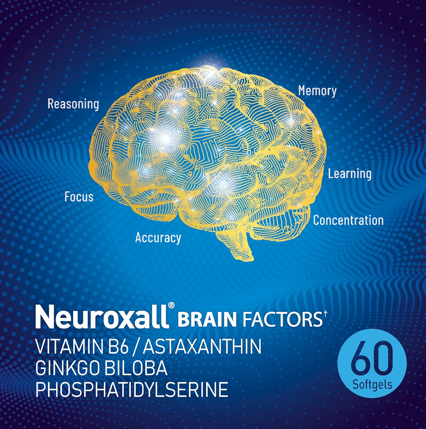 Neuroxall Brain Factors Softgels - Cognitive Support with Vitamin B6, Astaxanthin, Ginkgo Biloba Extract & Phosphatidylserine for Brain Health, Memory & Focus - 60 Count