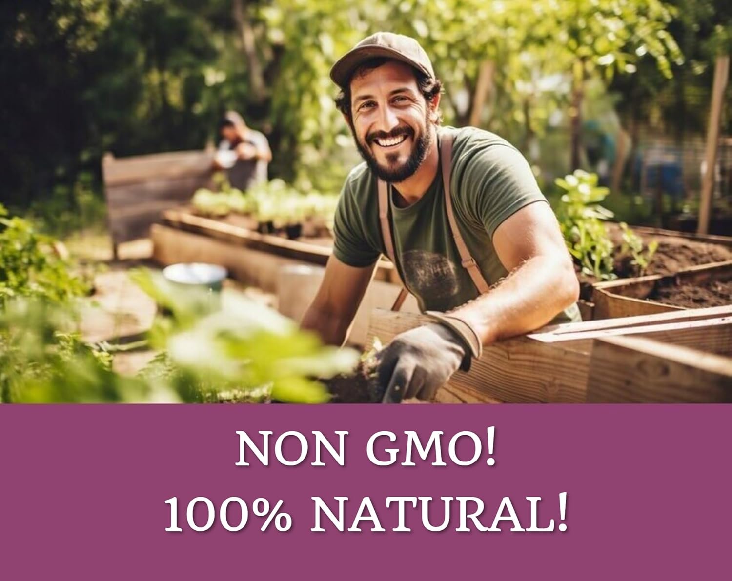 Nevancia Antioxidant Support Capsules with Resveratrol for Heart, Immune, and Brain Health - 60 Count