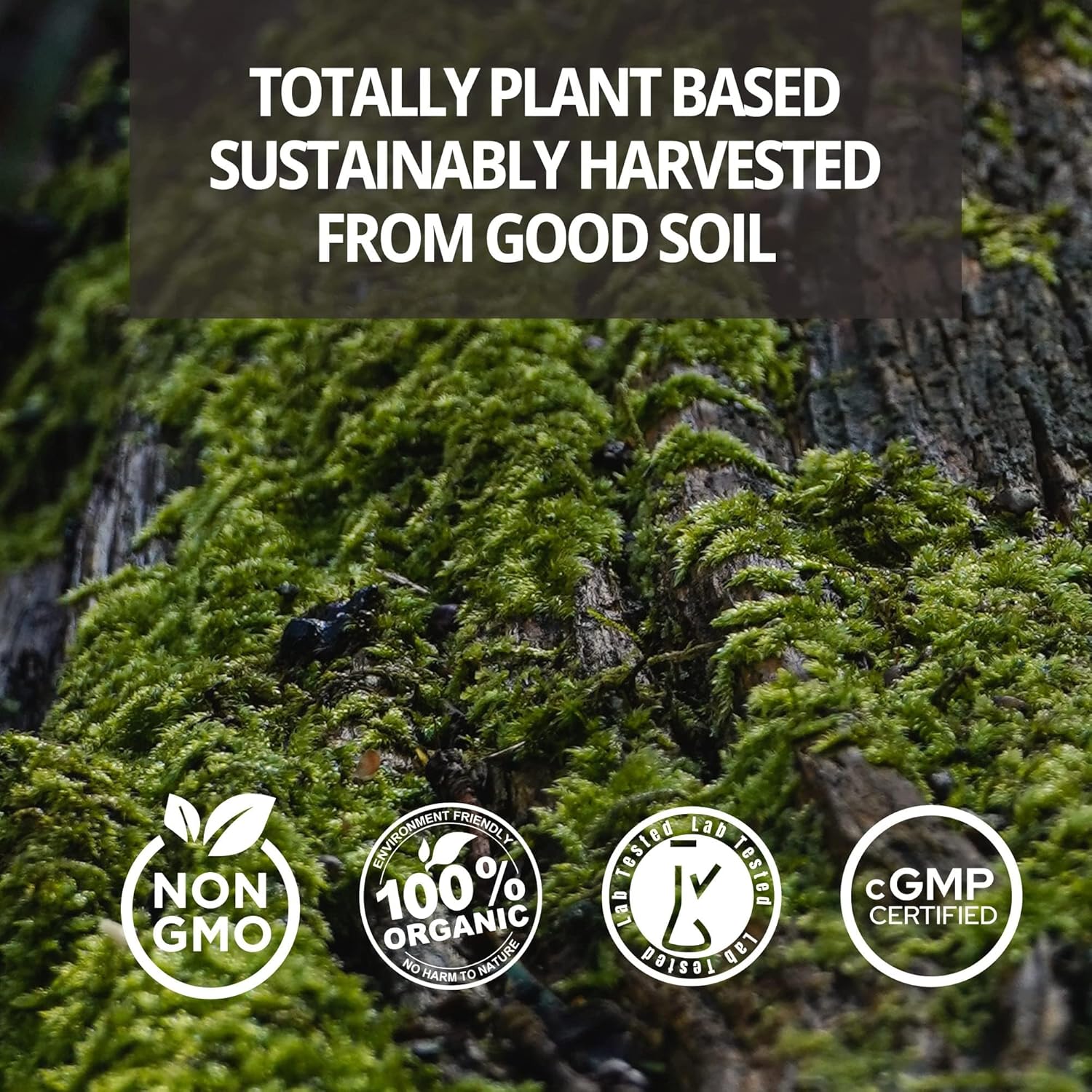 NEVISS 50+ Daily Gummy Multivitamin with Algae Omega 3, Calcium, CoQ10, Magnesium, Vitamin D3, and K2(MK7) - 600mg Calcium, 5000IU D3, 200mcg K2 - 125mcg Gummies