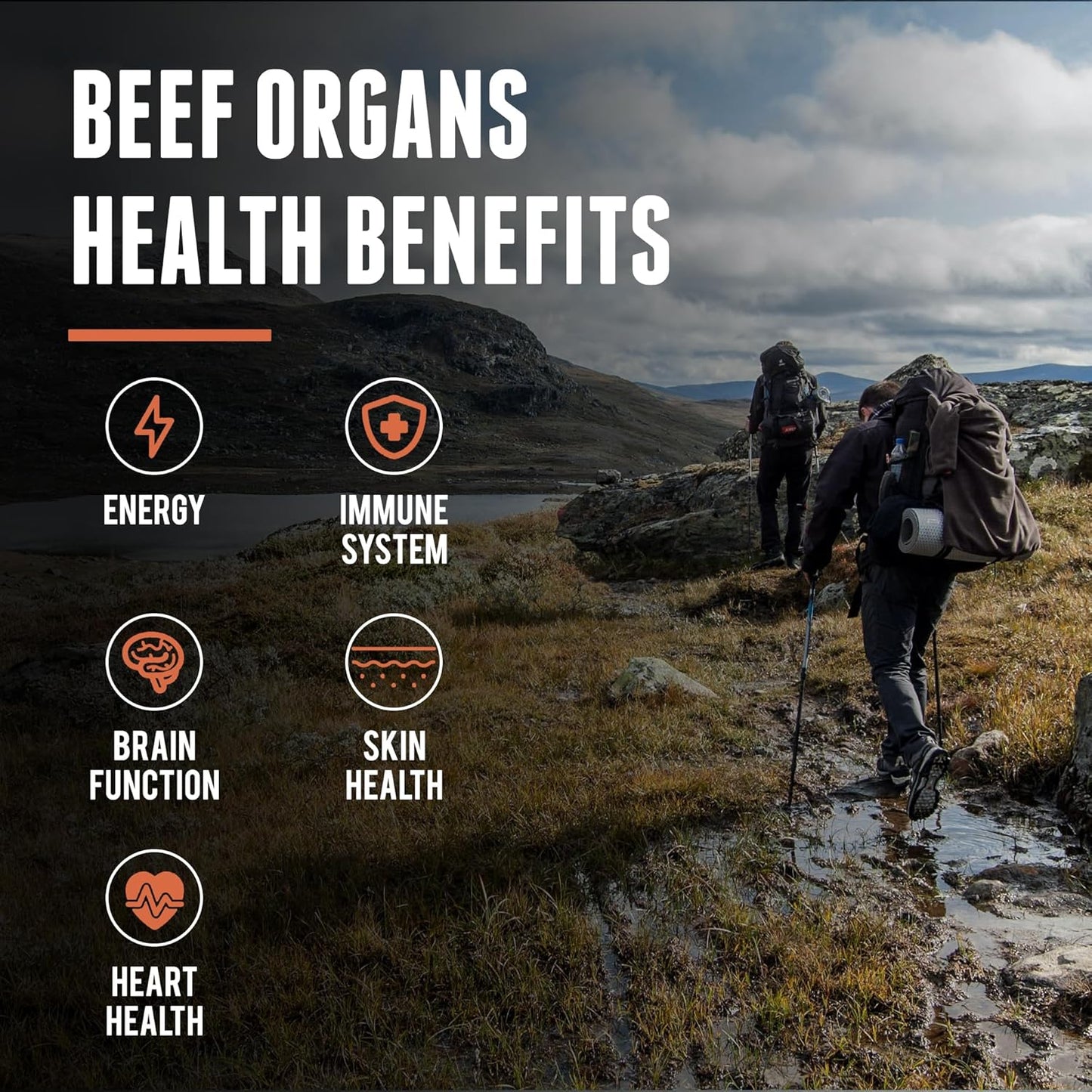 New Zealand Grass Fed Beef Organ, Bone Marrow, and Liver Super Bundle for Optimal Health