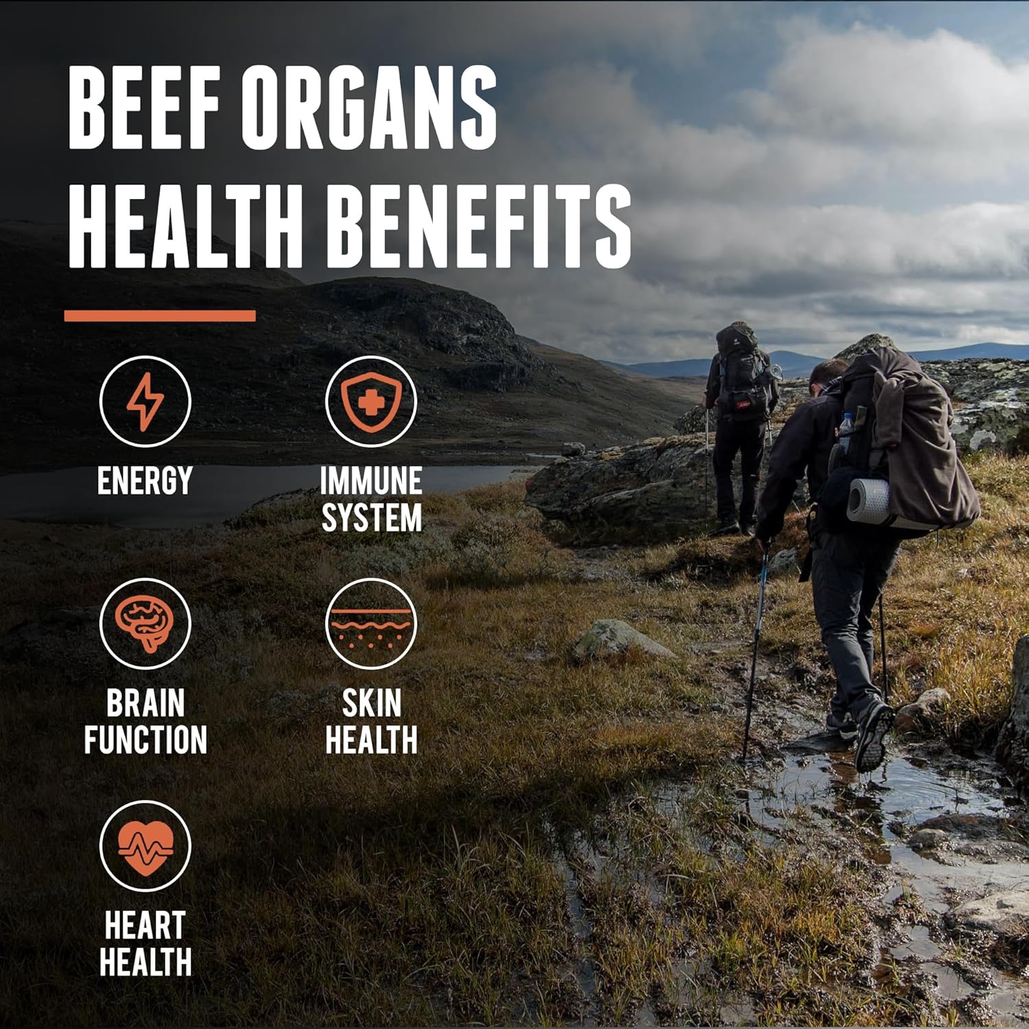 New Zealand Grass Fed Beef Organ, Bone Marrow, and Liver Super Bundle for Optimal Health