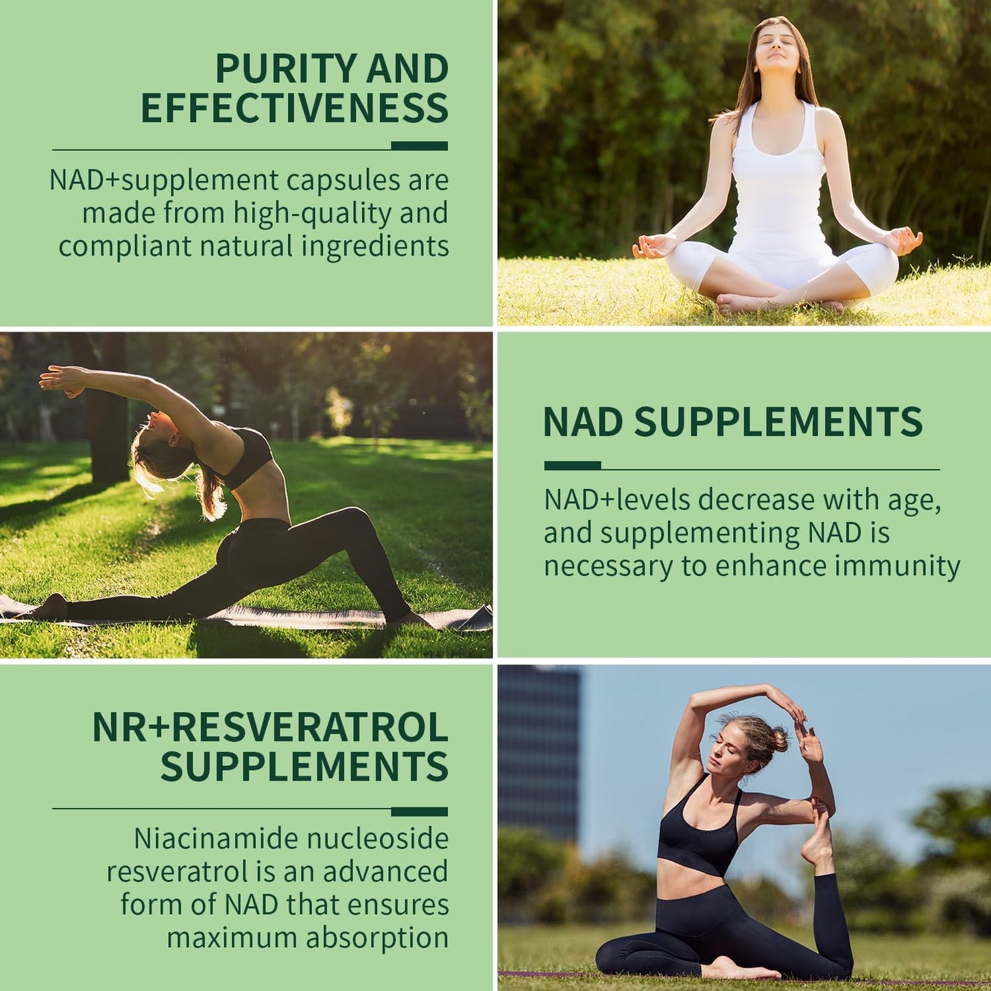 Newcell Spetime NAD+ Supplement - High Purity Energy Booster with NMN, Liposomal NR, Resveratrol, Quercetin - 80 Capsules