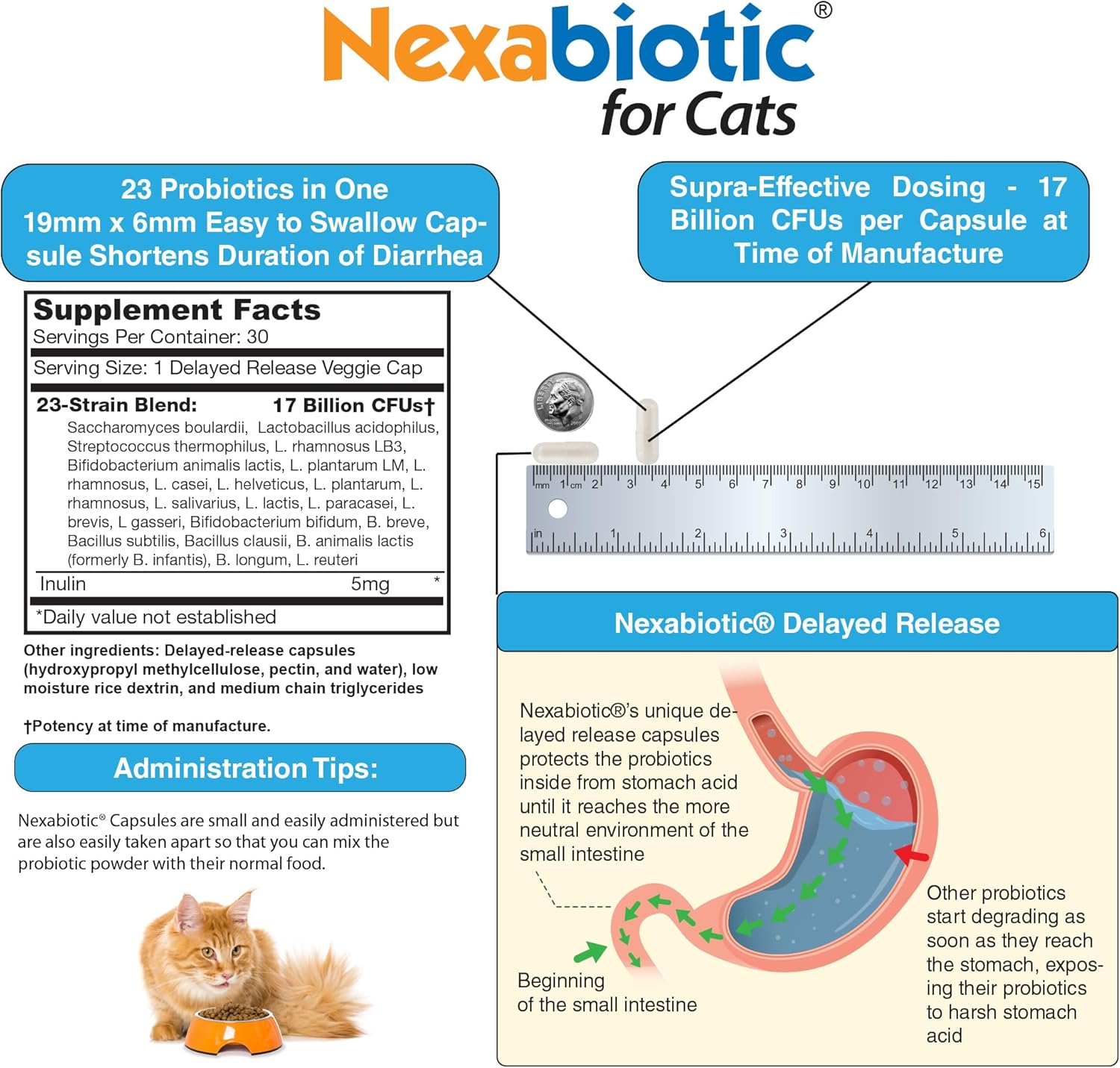 Nexabiotic Probiotic Powder for Cats | Supports Digestive Health, Treats Diarrhea in Pets | Saccharomyces Boulardii Lactobacillus Acidophilus | 30 Capsules