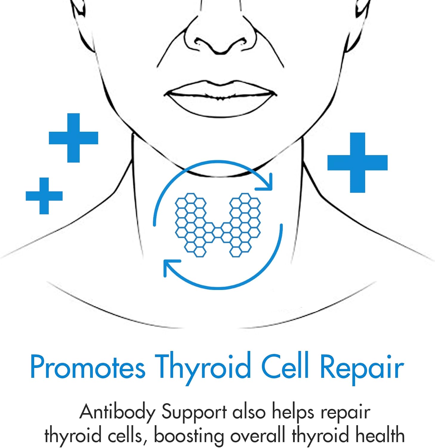 Nigella Black Cumin Seed & Selenium Thyroid Antibody Support Formula - Support for Lowering Thyroid Antibodies & Cells