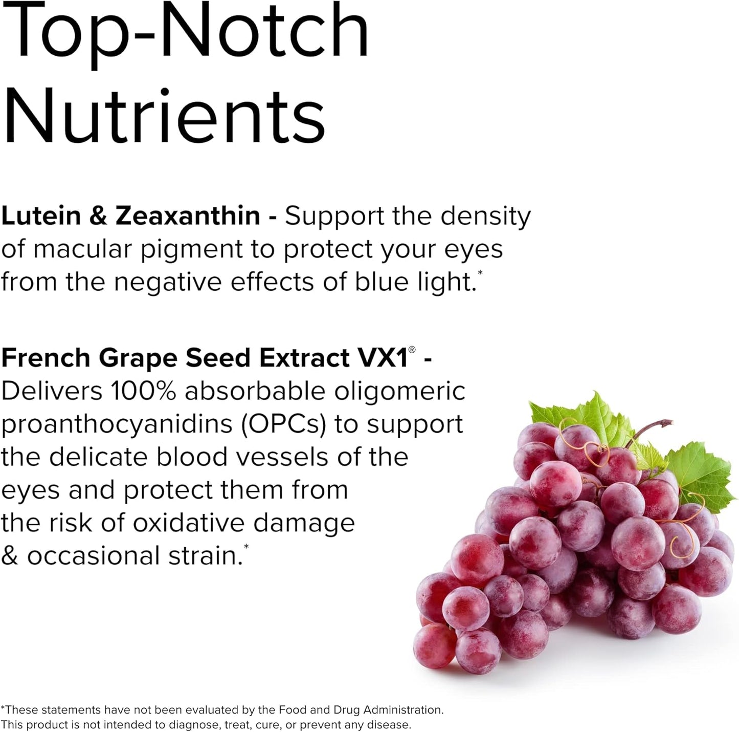 Night Vision Support Supplement - Antioxidant Blend for Eye Health and Fatigue Relief - Healthy Macula, Zinc, Vitamin A - 60 Capsules