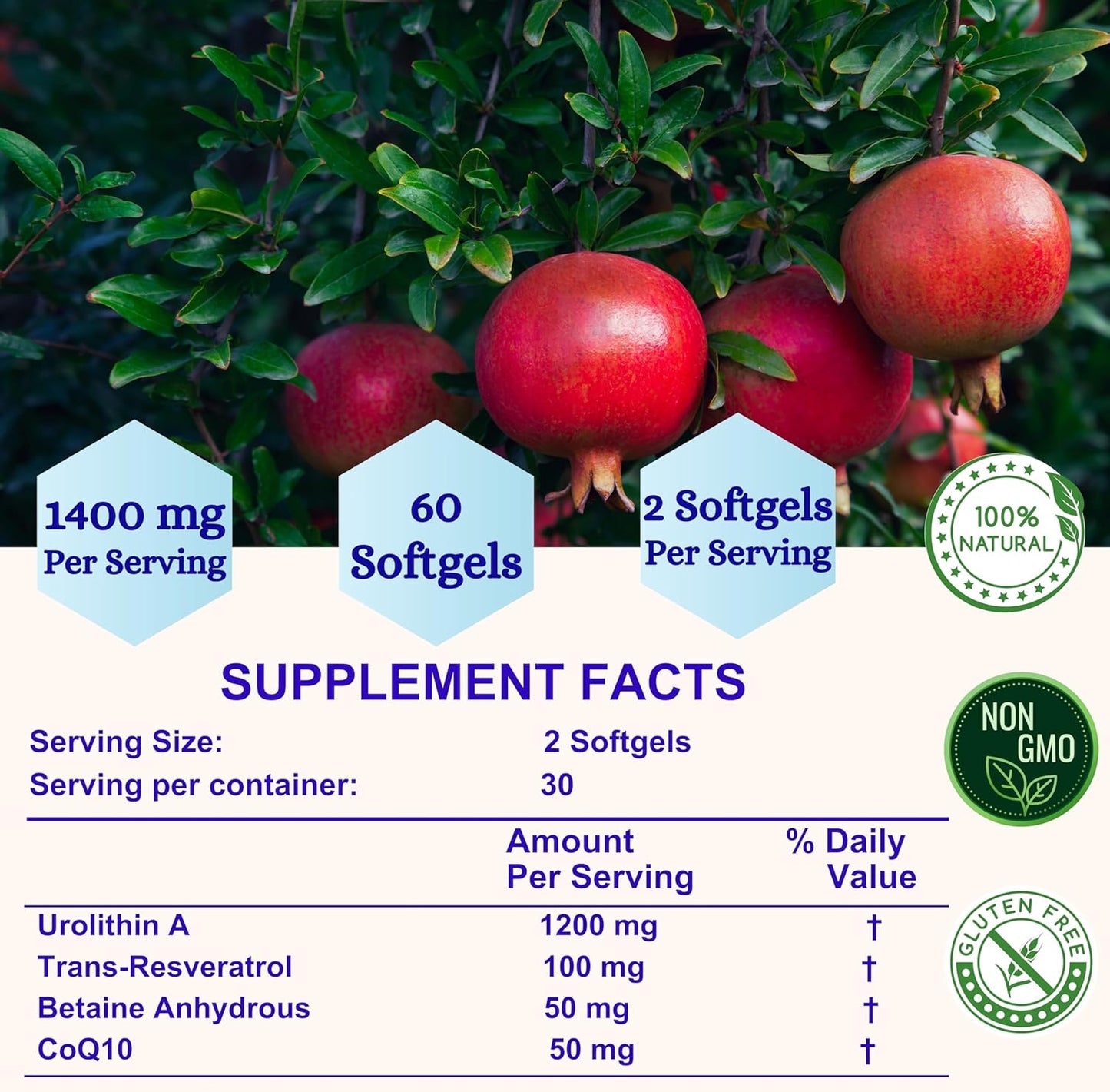 Nikoni Liposomal Urolithin-A Supplement 1400mg for Healthy Aging, Cell Renewal, Muscle Health - 240 Softgels