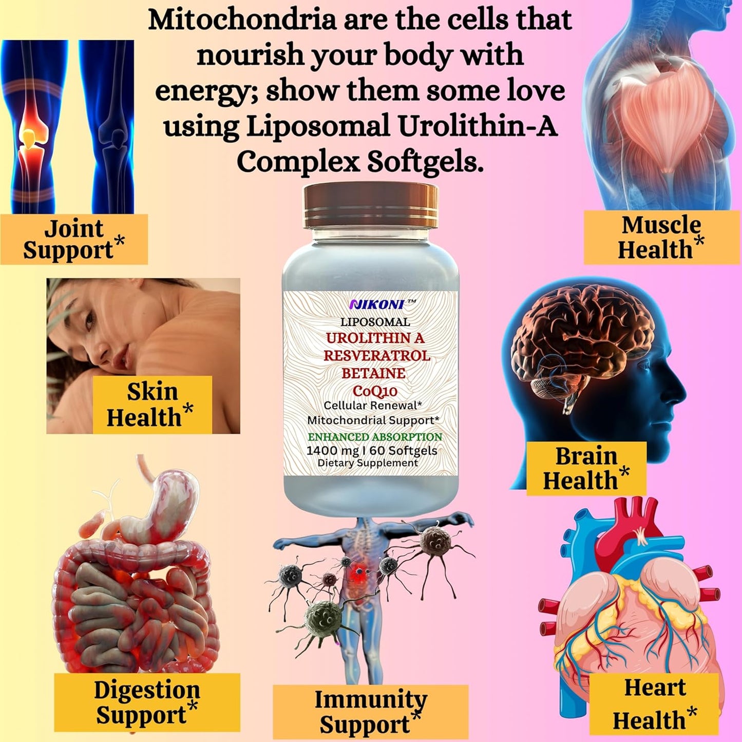 Nikoni Liposomal Urolithin-A Supplement 1400mg for Healthy Aging, Cell Renewal, Muscle Health - 240 Softgels