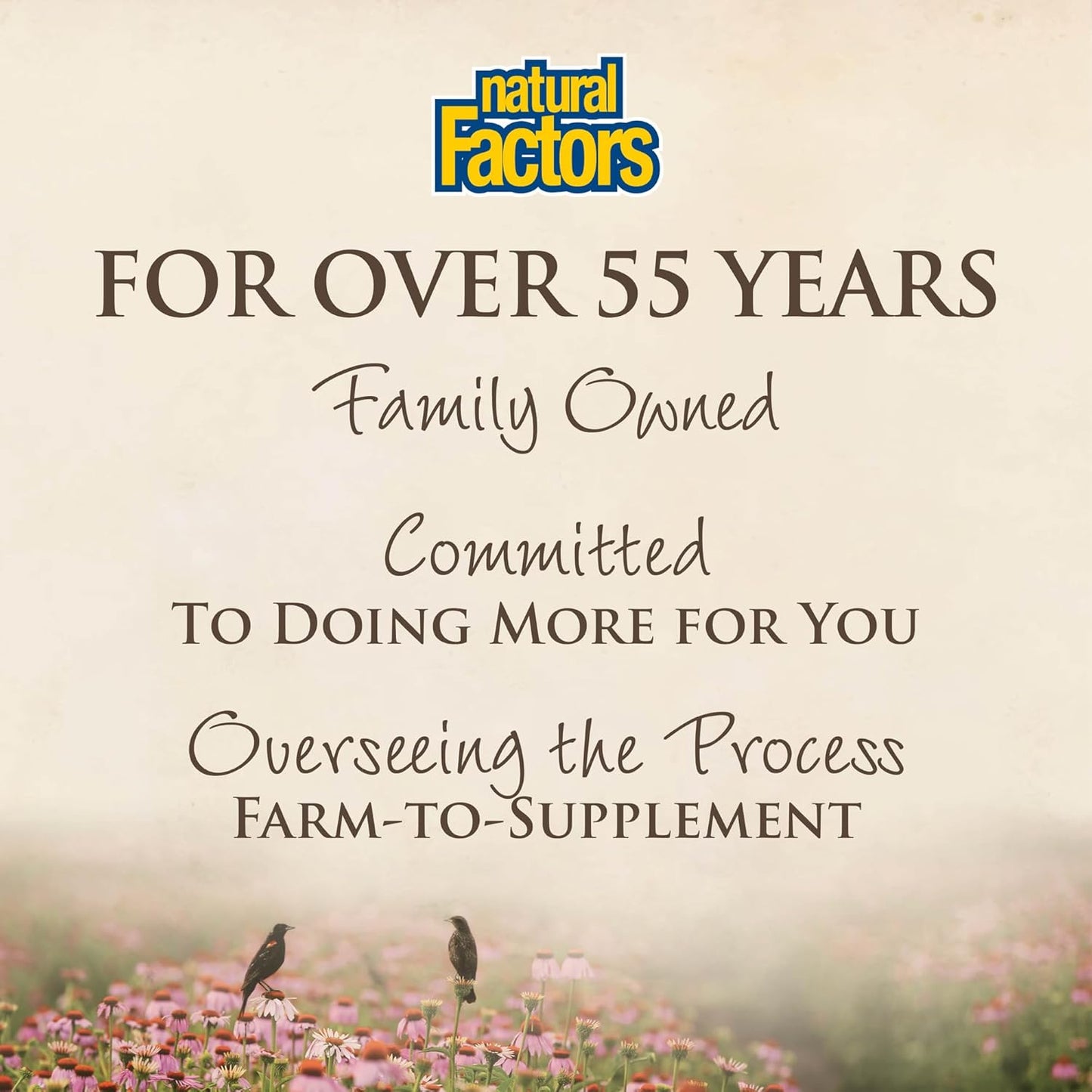 Non-Drowsy Stress Support: Natural Factors Pharma GABA 250mg, 60 Vegetarian Capsules for Relaxation and Mental Focus