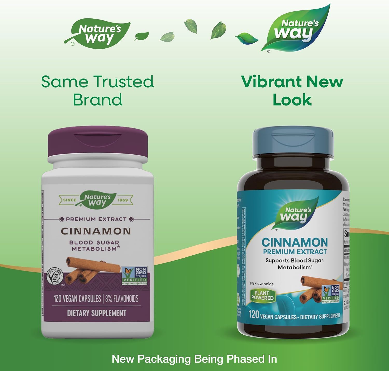 Non-GMO Cinnamon Extract Capsules - Supports Carb Metabolism - 8% Flavonoids - 240 Vegan Capsules