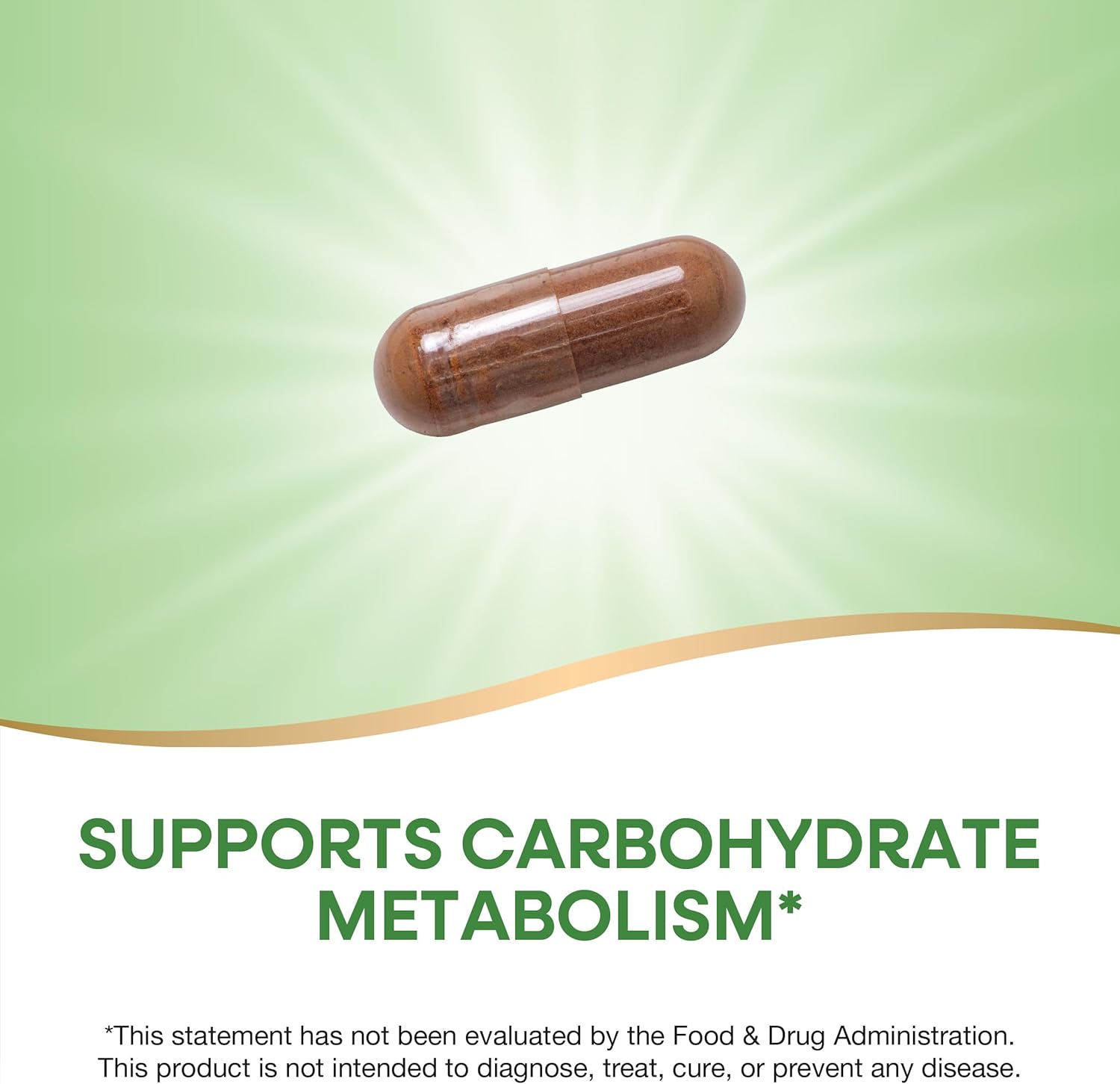 Non-GMO Cinnamon Extract Capsules - Supports Carb Metabolism - 8% Flavonoids - 240 Vegan Capsules