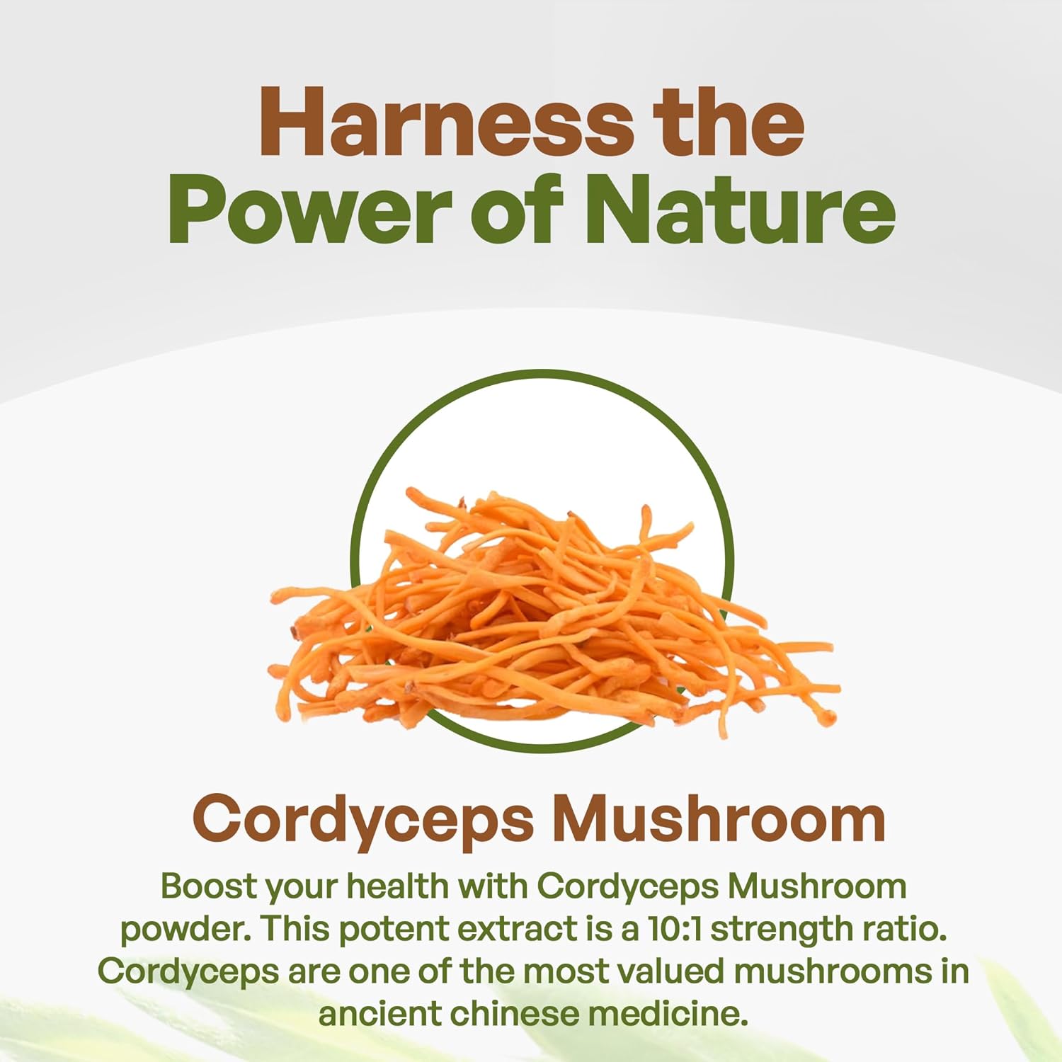 Non-GMO Cordyceps Mushroom Powder Extract | 30% Polysaccharides | Pure 8 oz. (225g)