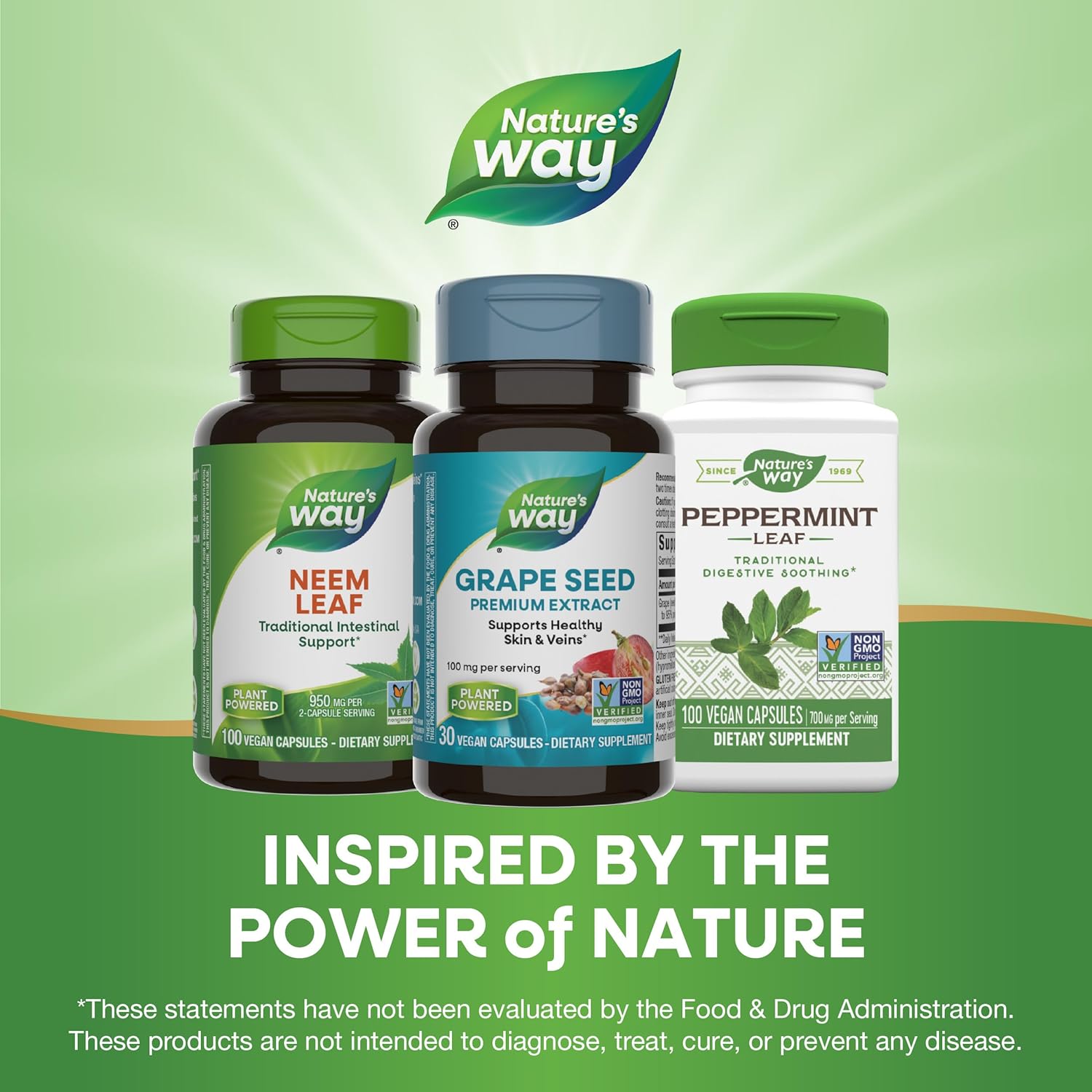 Non-GMO Grape Seed Premium Extract Capsules for Skin and Vein Health, Antioxidant Support, 30 Vegan Capsules