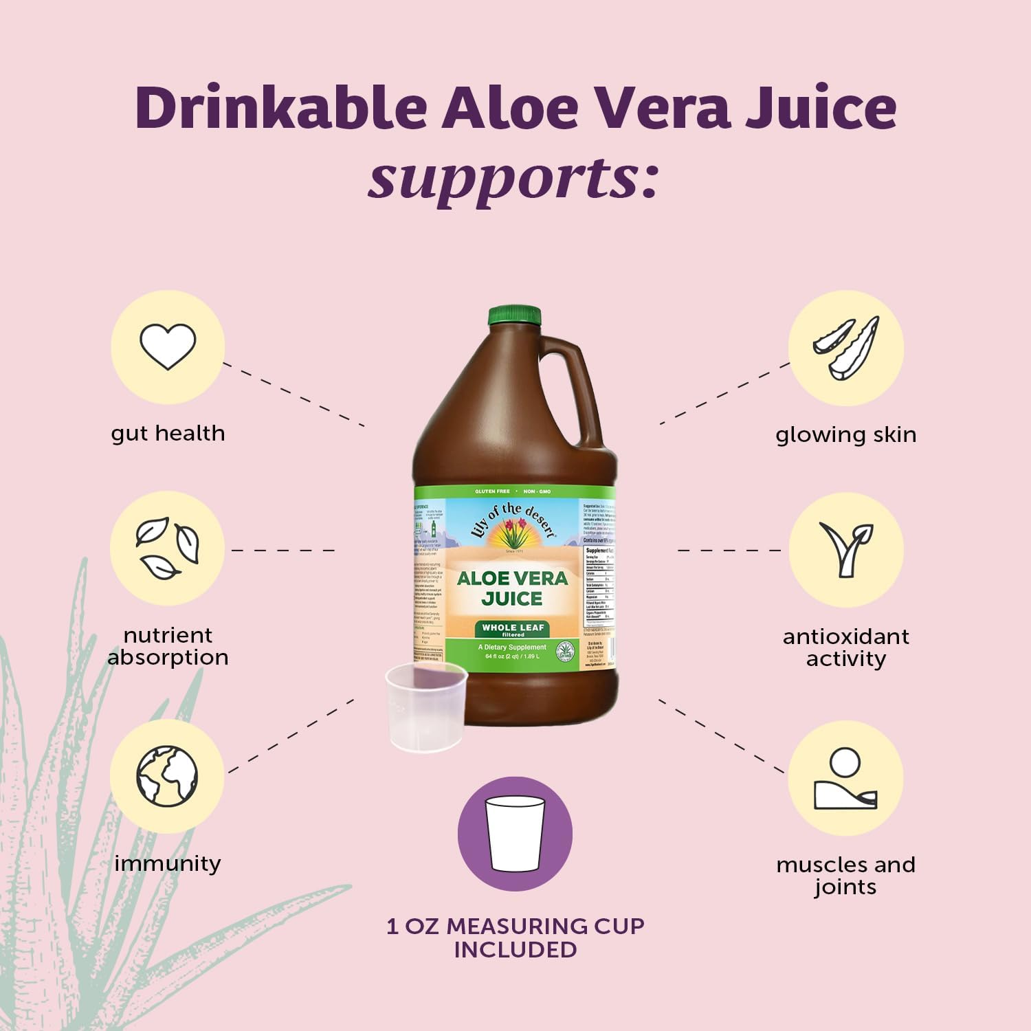 Non-GMO Lily Of The Desert Aloe Vera Juice - 64 Fl Oz Whole Leaf Filtered Drink with Digestive Enzymes for Gut Health, Stomach Relief, and Glowing Skin